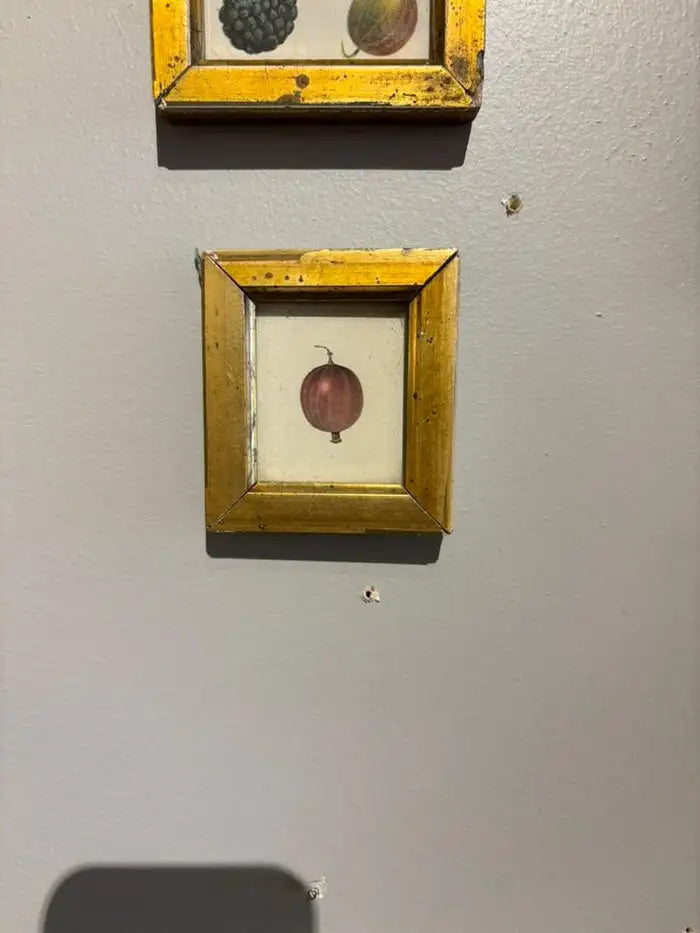 Group of Ten 19th Century Hand Colored Fruit Botanicals in Gilt Wood Frames