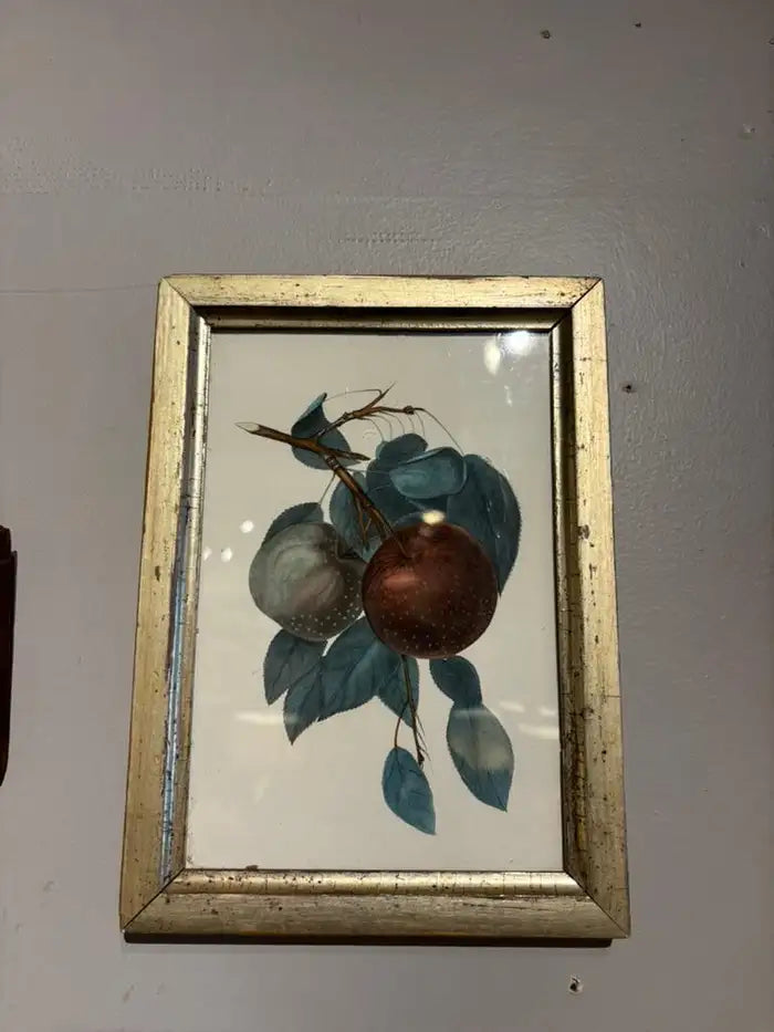 Group of Ten 19th Century Hand Colored Fruit Botanicals in Gilt Wood Frames