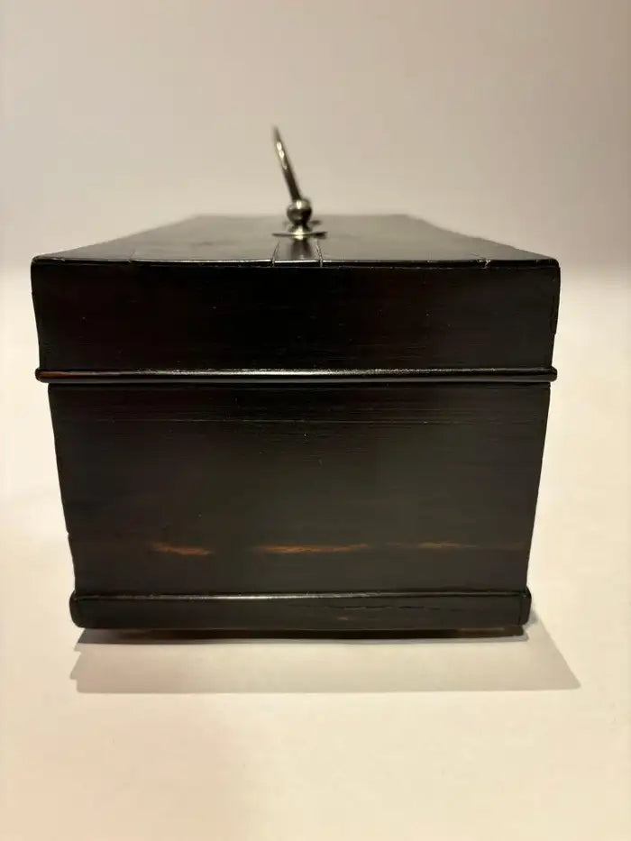 19th Century Dutch Ebony Box With Silver Mounts and Hinges
