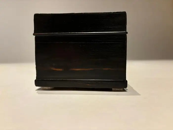 19th Century Dutch Ebony Box With Silver Mounts and Hinges