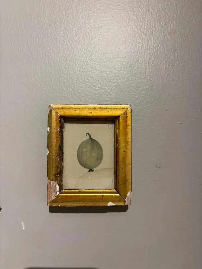 Group of Ten 19th Century Hand Colored Fruit Botanicals in Gilt Wood Frames
