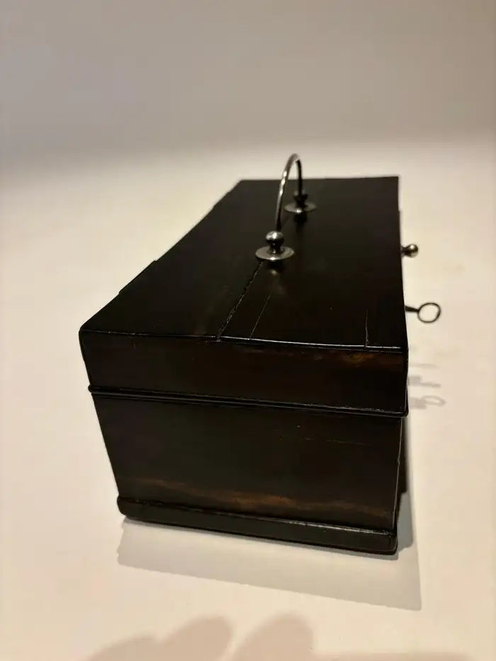 19th Century Dutch Ebony Box With Silver Mounts and Hinges
