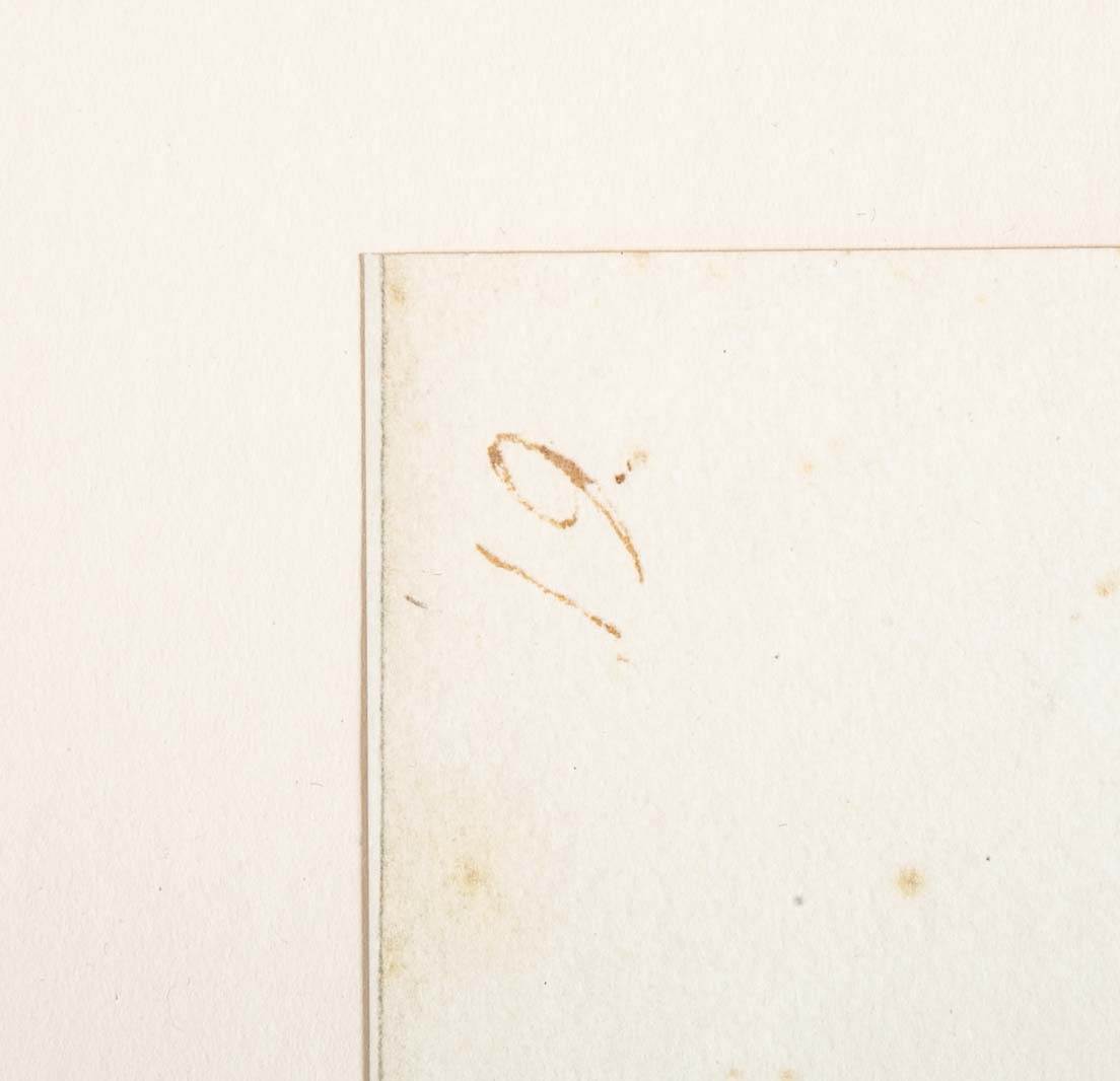 Offset Lithograph of "Magpie, PL 16" from the "The Great Bird Book" by Olof Rudbeck The Younger