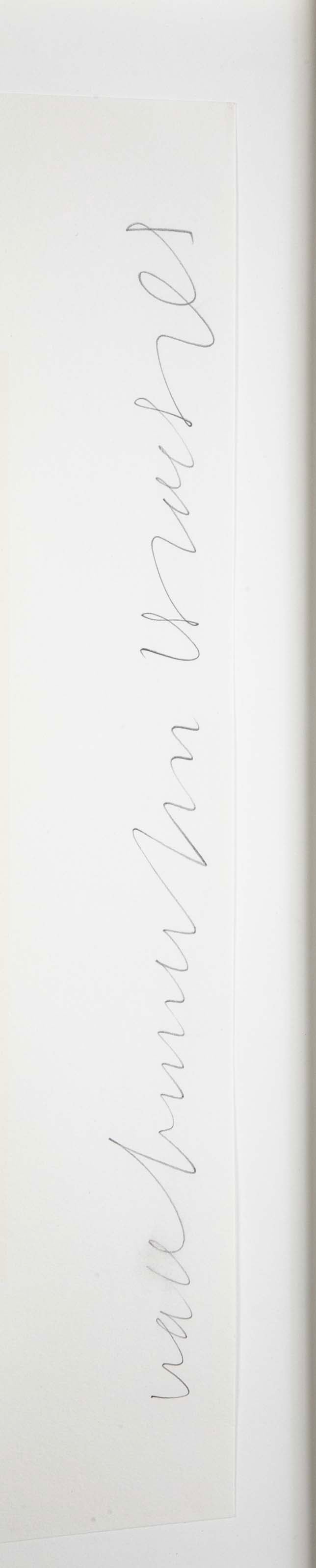 "Wallflowers" Serigraph of Flowers by Donald Sultan