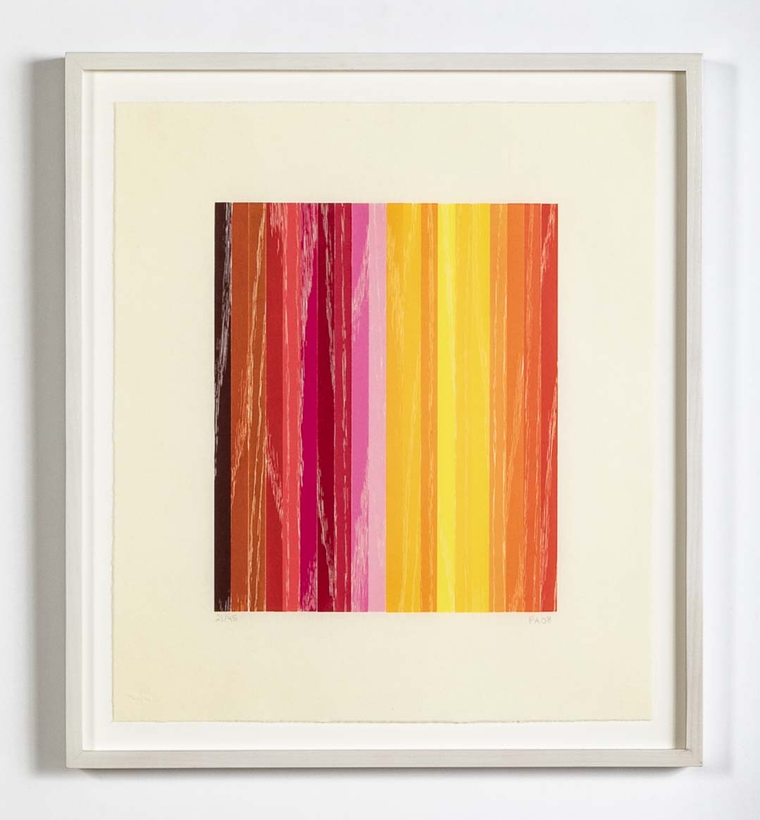 Set of 4 Color Woodcuts by American Contemporary Artist Polly Apfelbaum