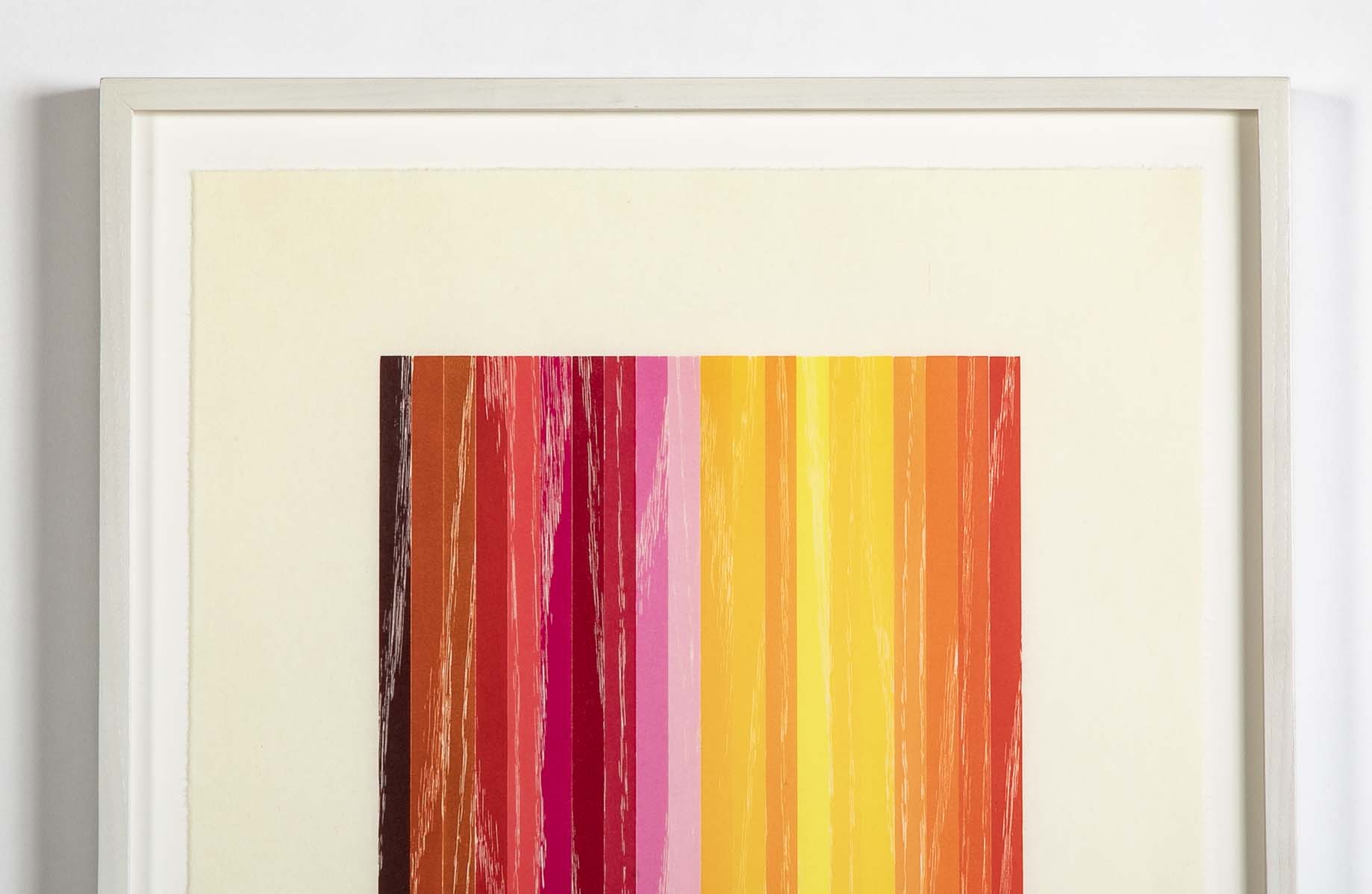 Set of 4 Color Woodcuts by American Contemporary Artist Polly Apfelbaum