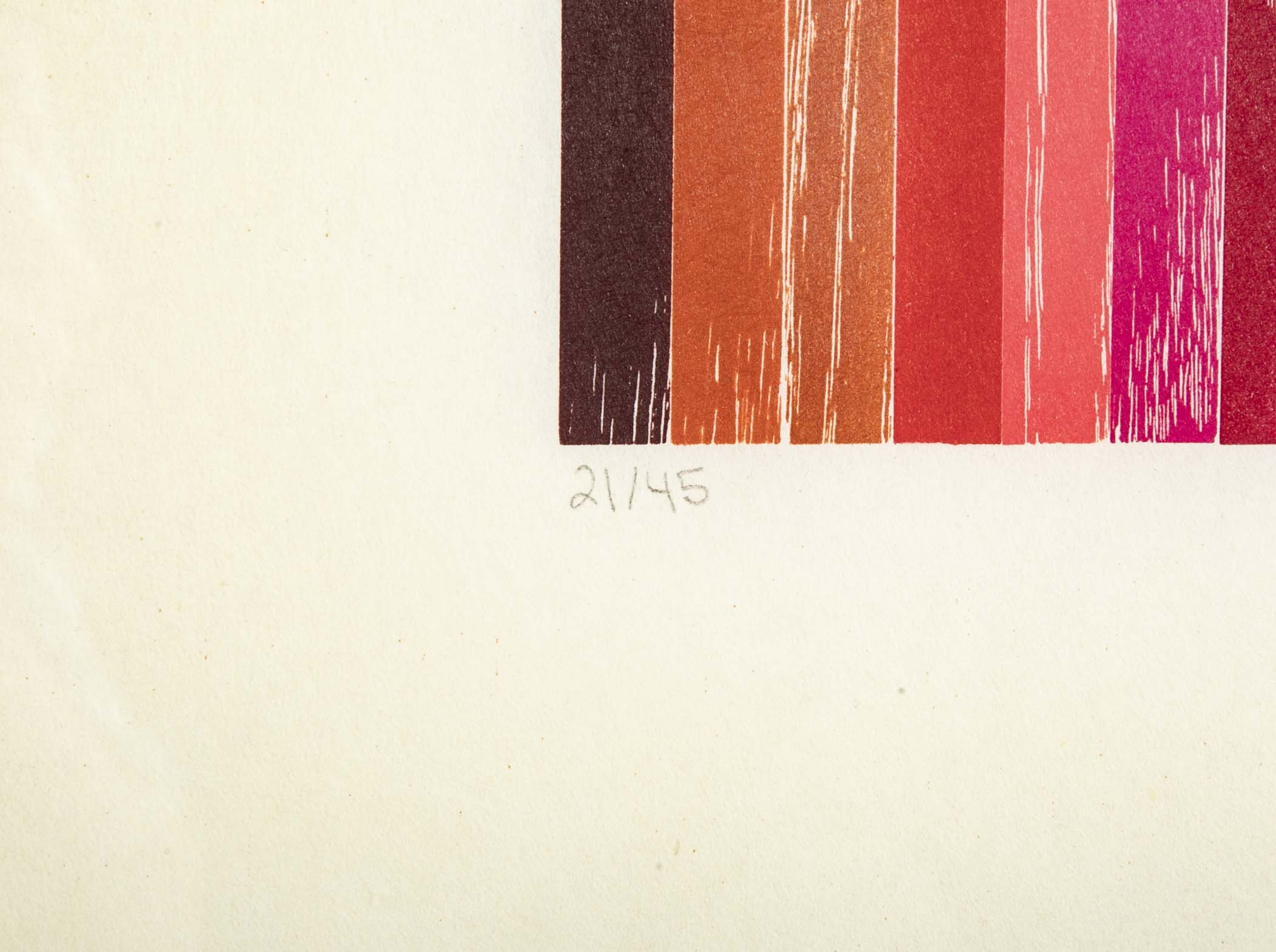 Set of 4 Color Woodcuts by American Contemporary Artist Polly Apfelbaum