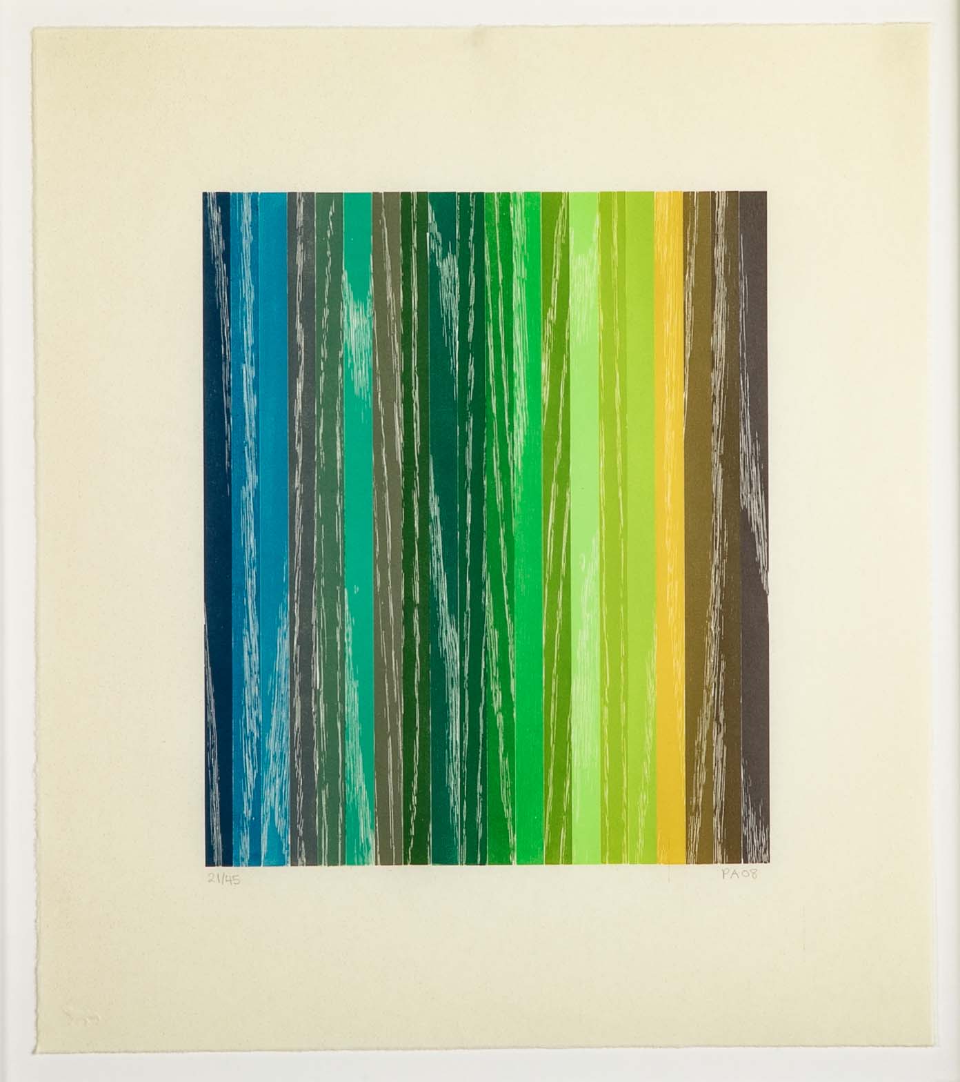 Set of 4 Color Woodcuts by American Contemporary Artist Polly Apfelbaum