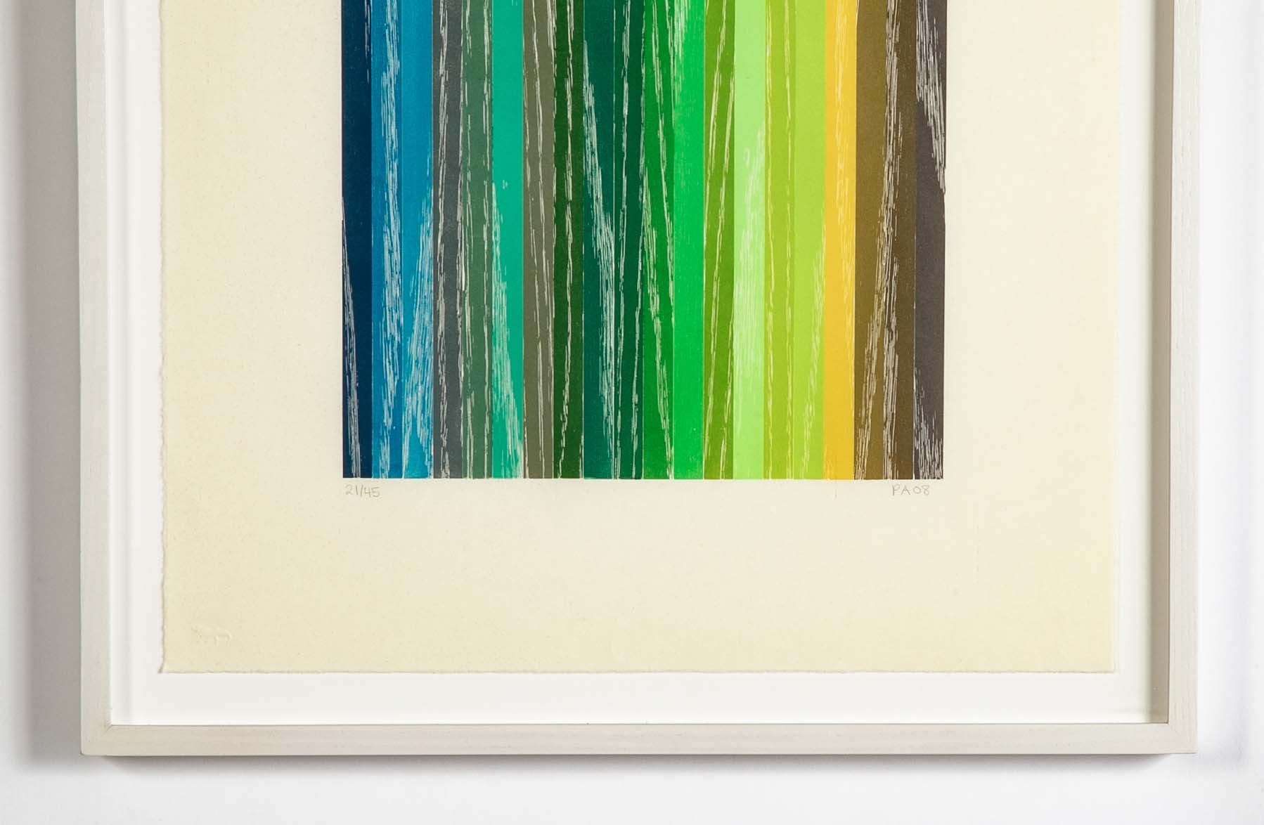 Set of 4 Color Woodcuts by American Contemporary Artist Polly Apfelbaum