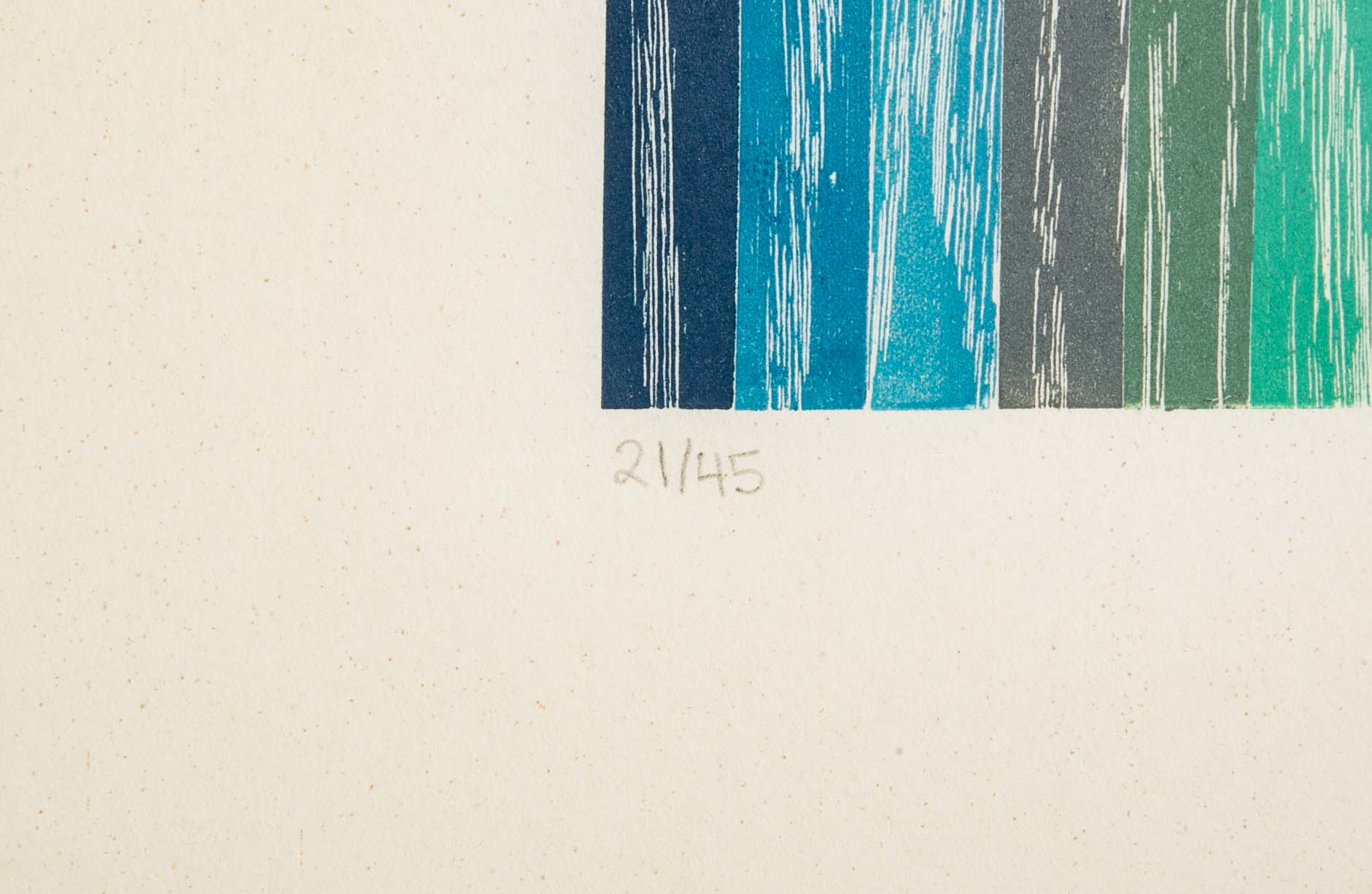 Set of 4 Color Woodcuts by American Contemporary Artist Polly Apfelbaum