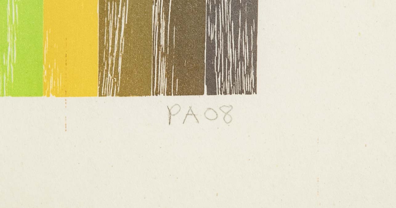 Set of 4 Color Woodcuts by American Contemporary Artist Polly Apfelbaum