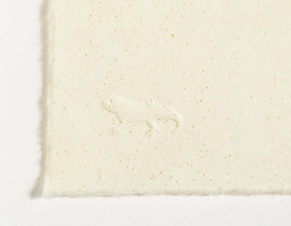 Set of 4 Color Woodcuts by American Contemporary Artist Polly Apfelbaum