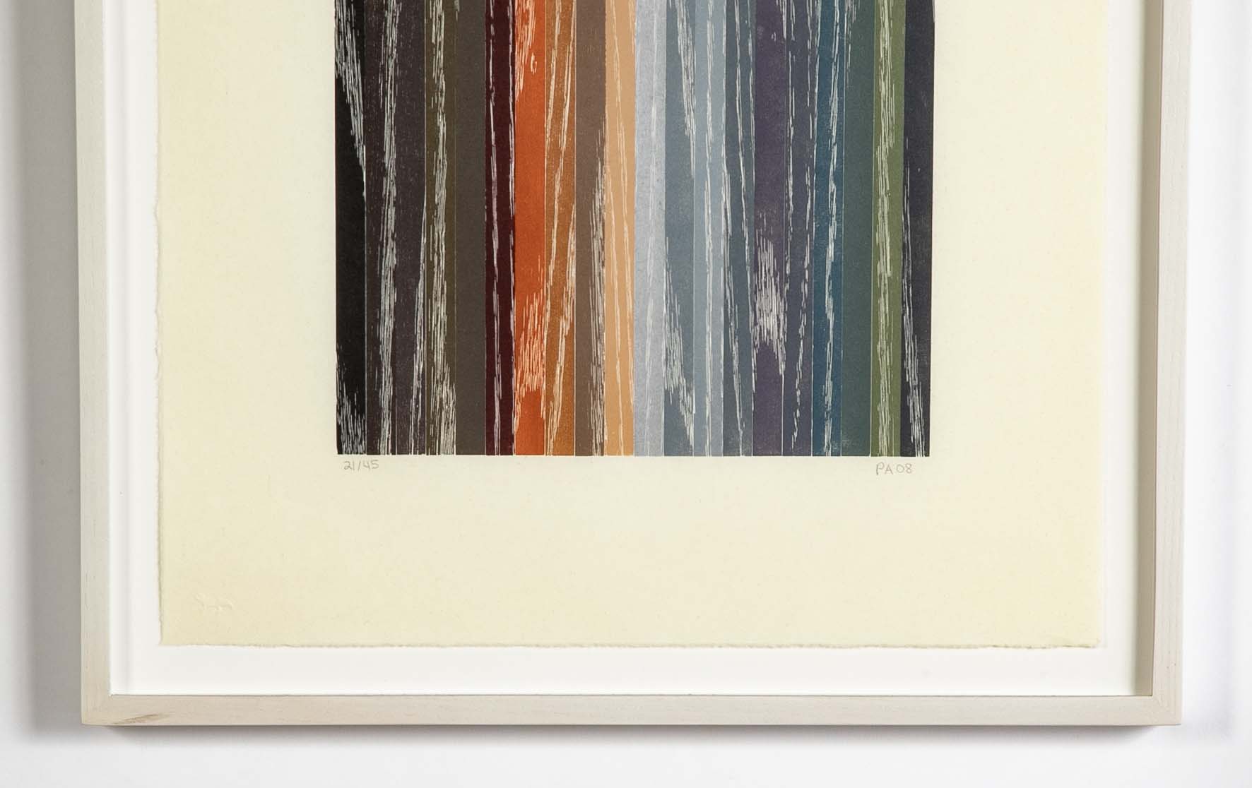 Set of 4 Color Woodcuts by American Contemporary Artist Polly Apfelbaum