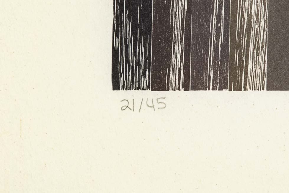 Set of 4 Color Woodcuts by American Contemporary Artist Polly Apfelbaum