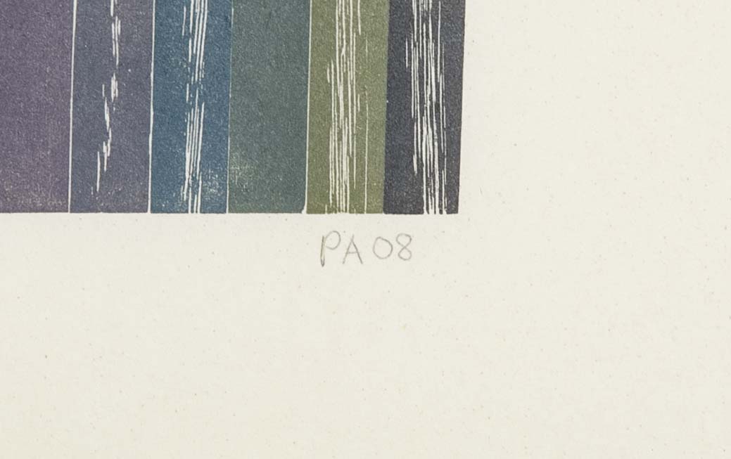 Set of 4 Color Woodcuts by American Contemporary Artist Polly Apfelbaum