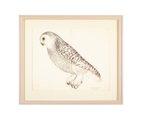 Offset Lithograph of 
