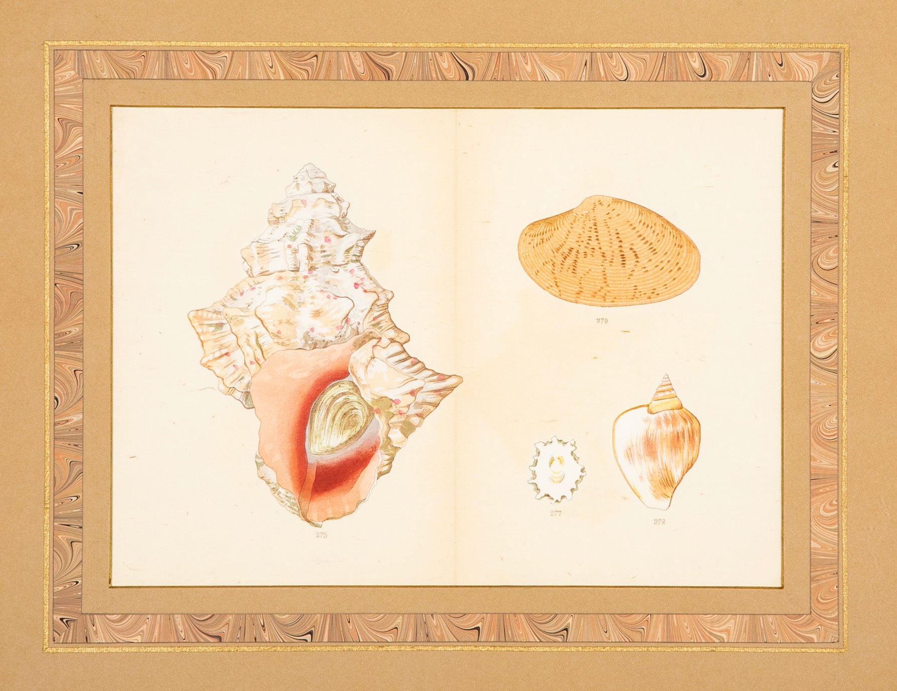 Hirase Wood Block Print From "Thousand Shells" in Custom Gilt Frame