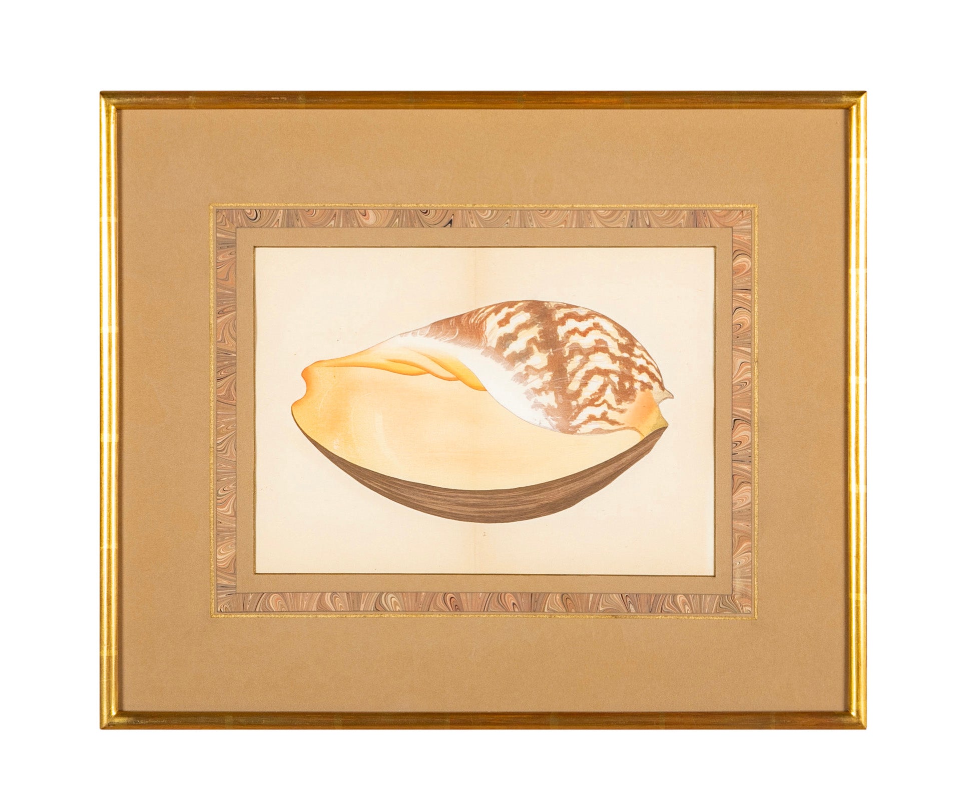 Hirase Wood Block Print From "Thousand Shells" in Custom Gilt Frame