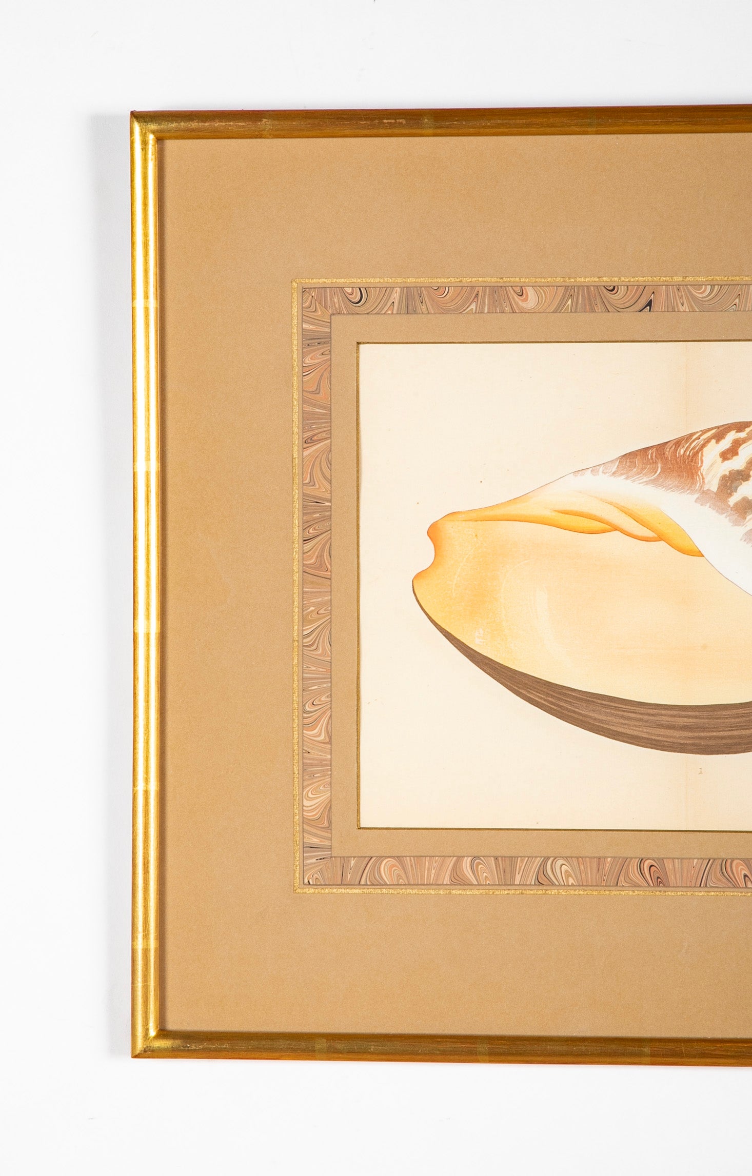 Hirase Wood Block Print From "Thousand Shells" in Custom Gilt Frame
