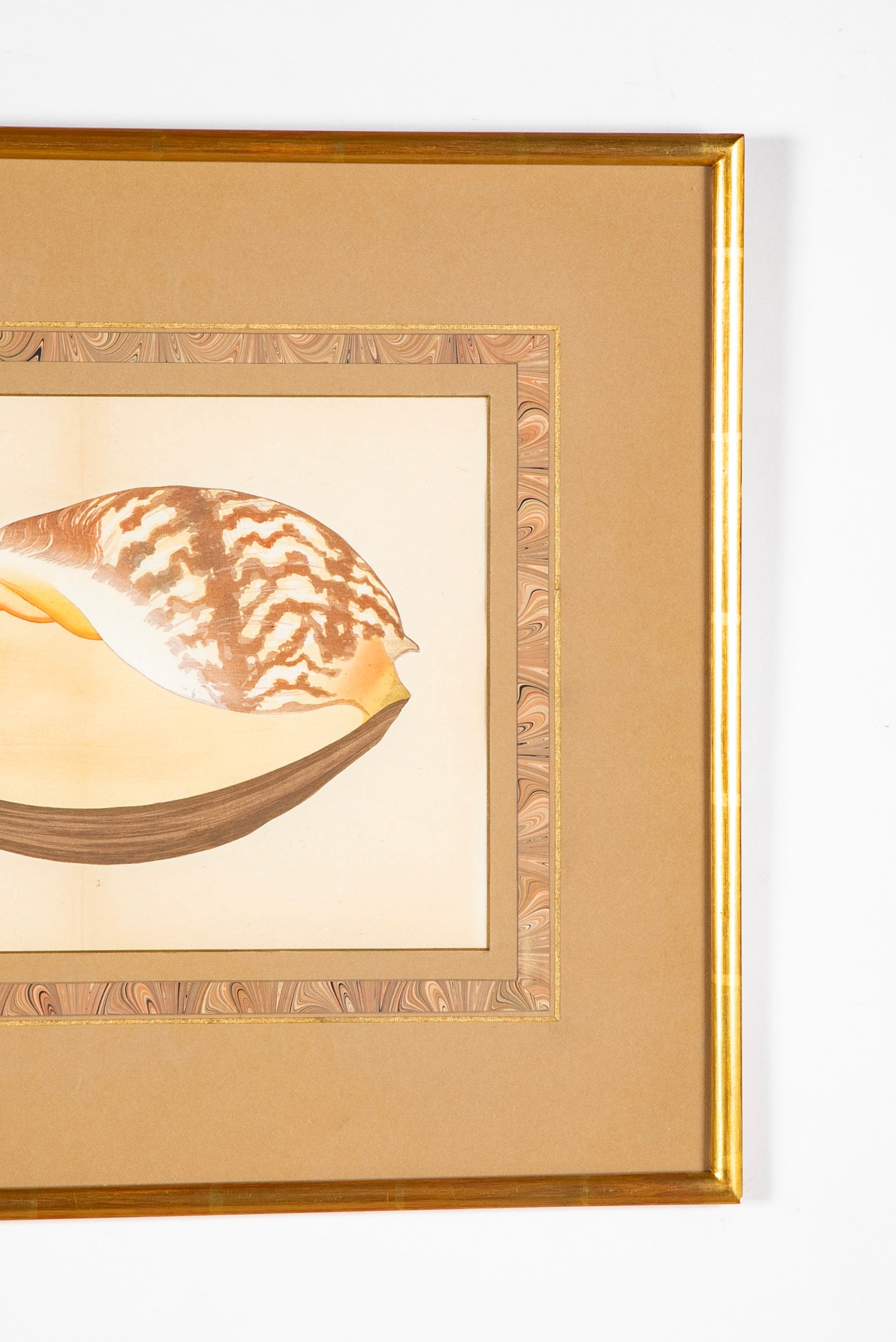 Hirase Wood Block Print From "Thousand Shells" in Custom Gilt Frame