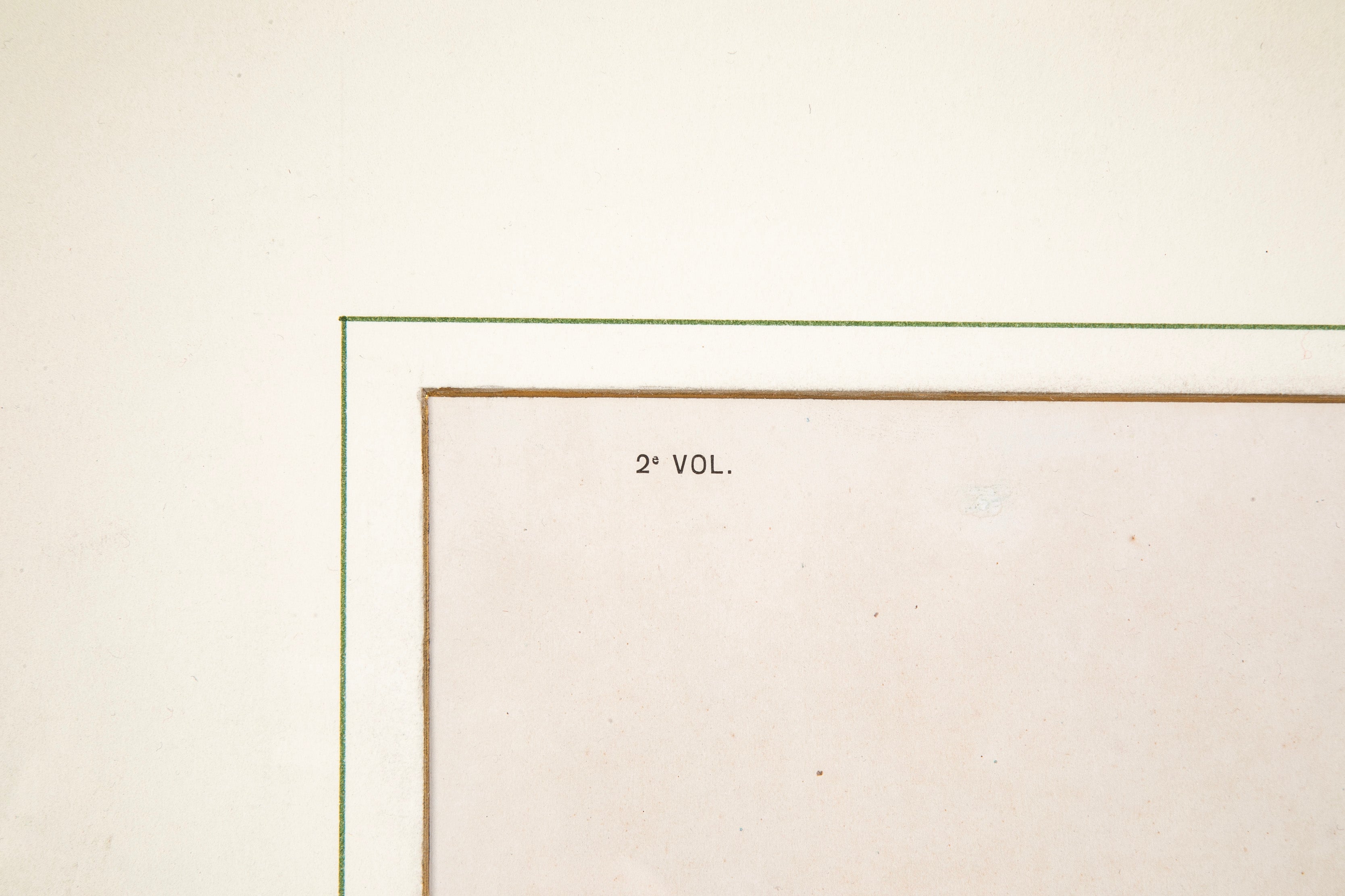 Chromolithograph of Brazilian Palms by Joao Barbosa Rodrigues