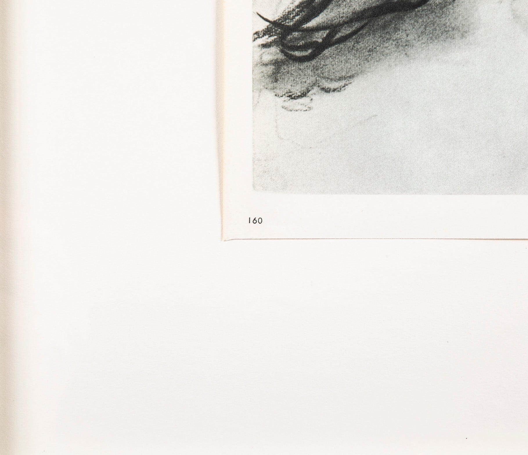Four Lithographs from "The Last Works of Henri Matisse" Verve