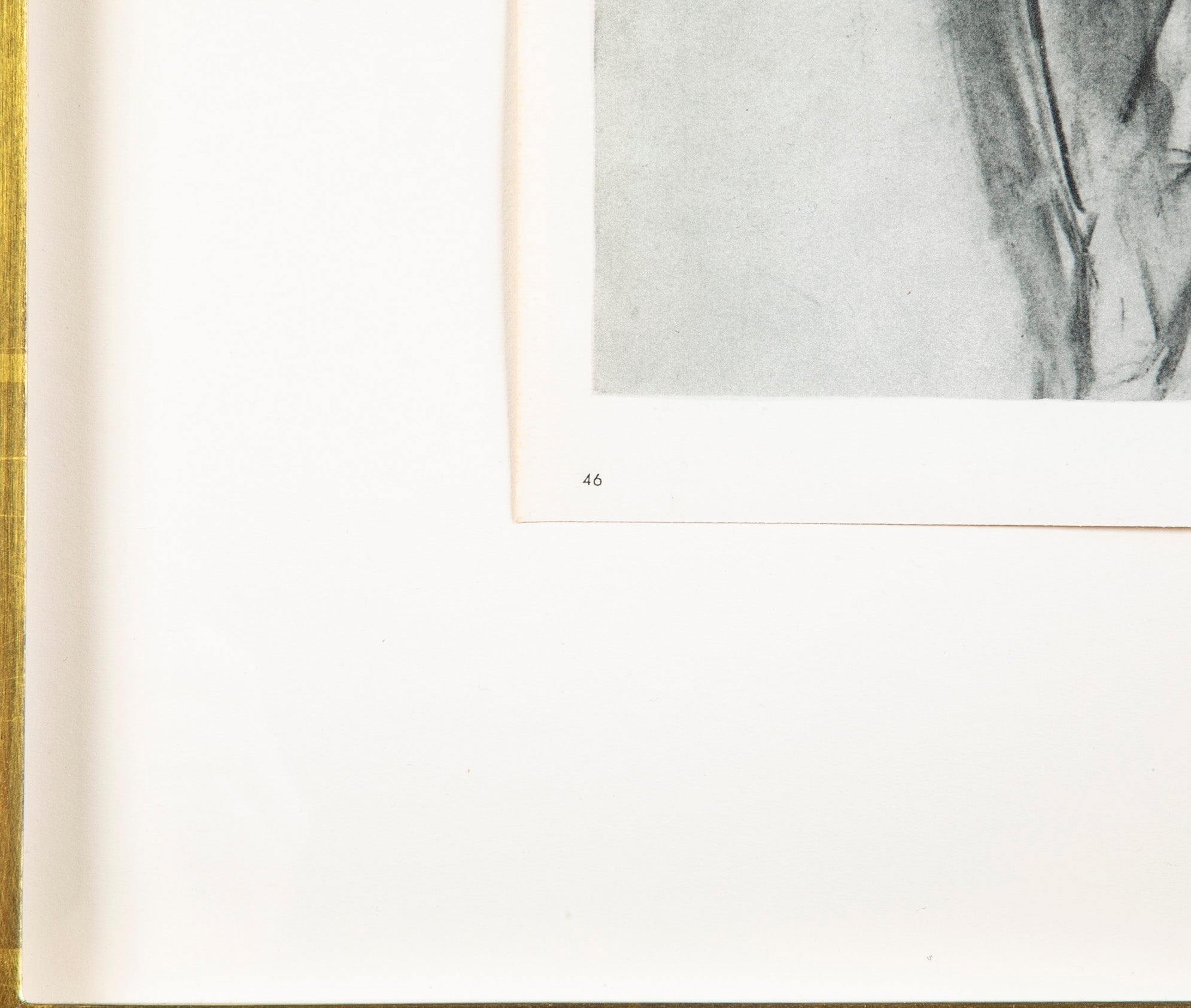 Four Lithographs from "The Last Works of Henri Matisse" Verve
