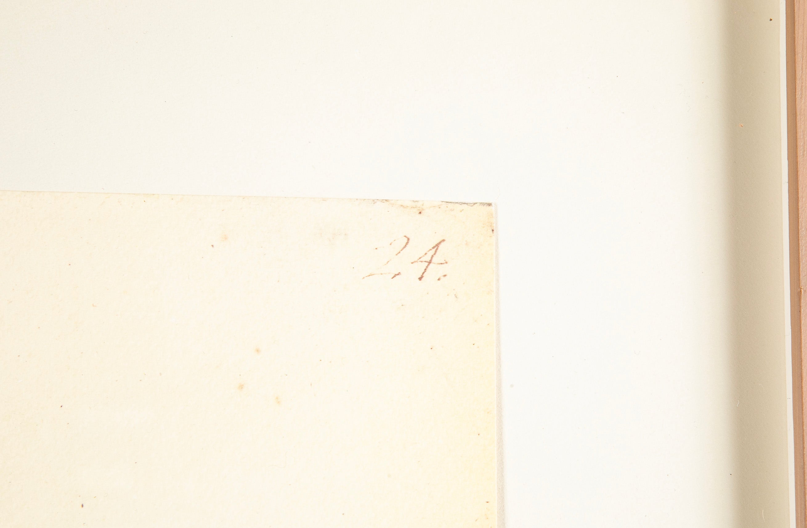 Offset Lithograph of "Black Grouse Leucistic Form, PL 17" from the "The Great Bird Book" by Olof Rudbeck The Younger