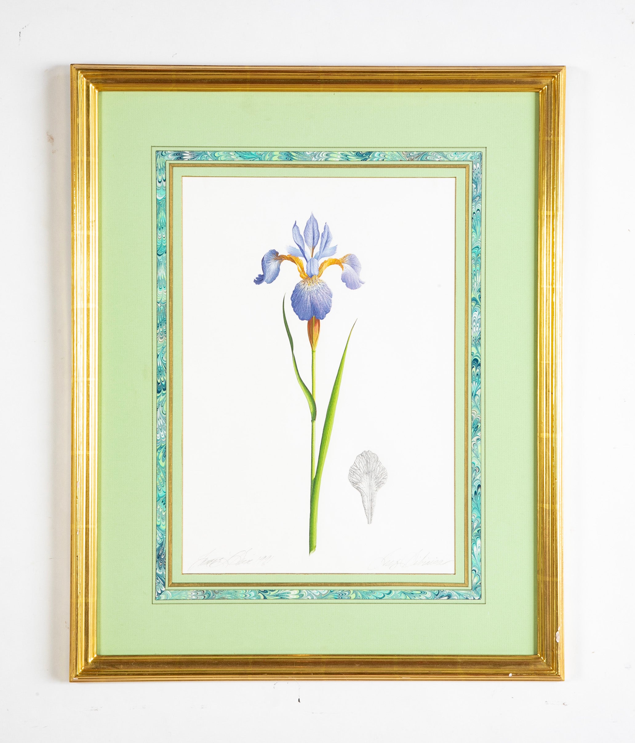 James L. Sain Original Watercolor of an Iris