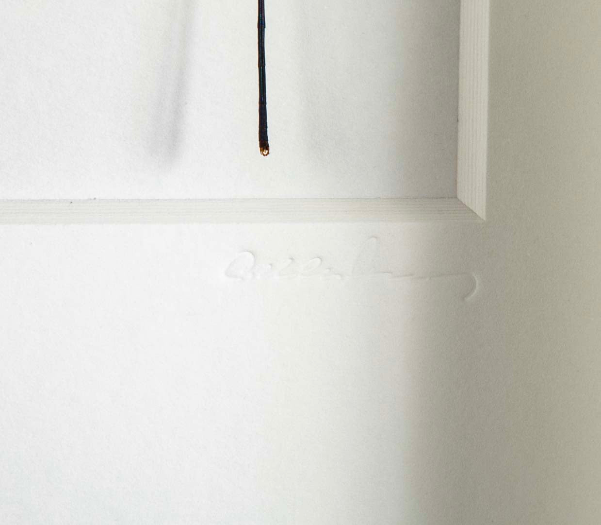 "Butterfly Trio" in Shadow Box by Christopher Marly