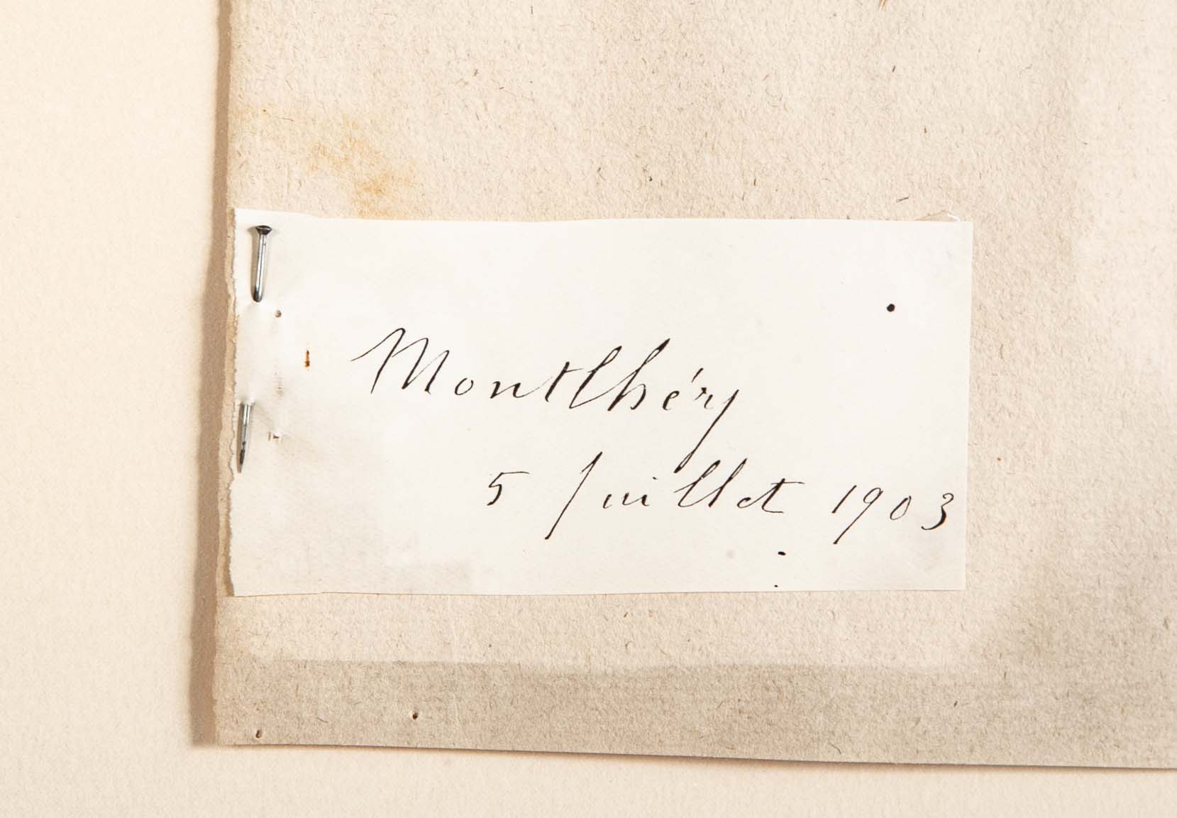 "A Collection of Dried British Grass Specimens" by W. Curtis & W. Salisbury