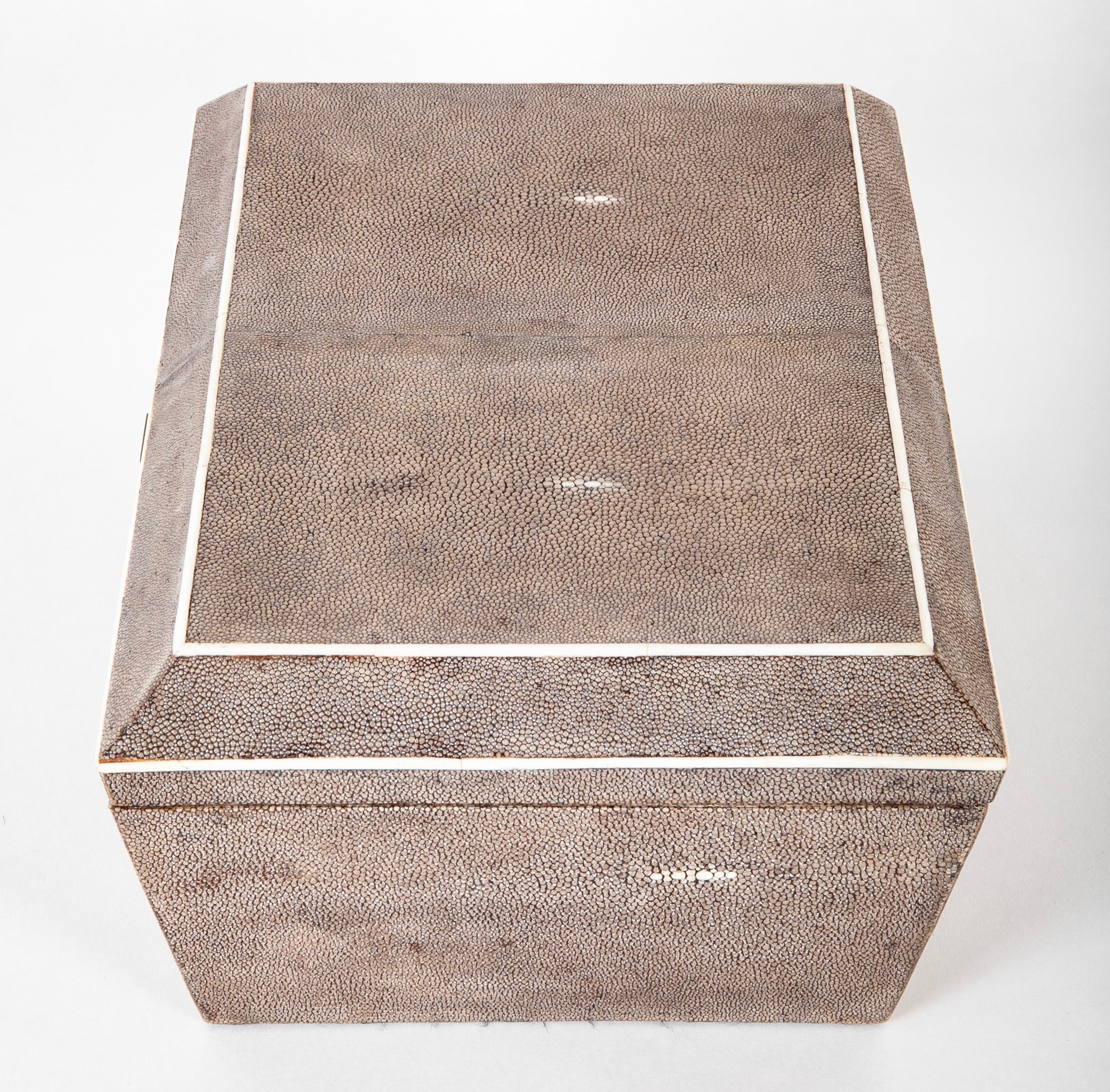 R & Y Augousti Shagreen Jewelry Box