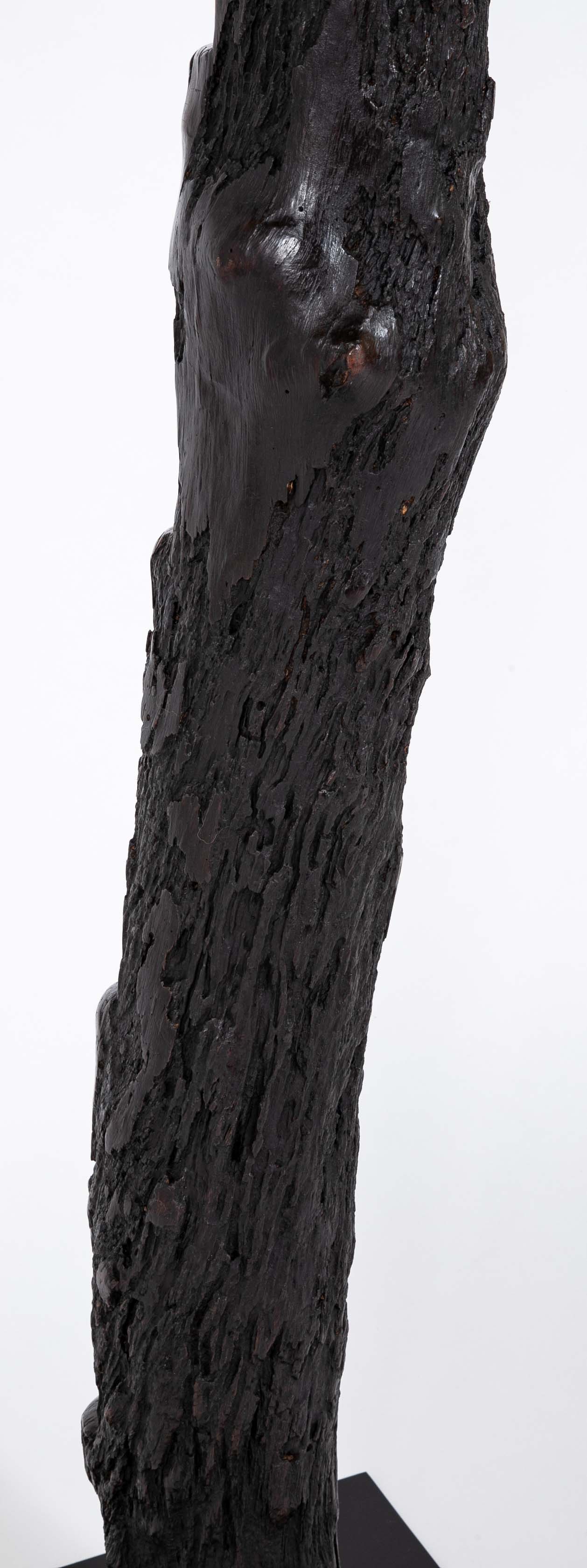 A Mali Dogon Tribe Granary Ladder with Base