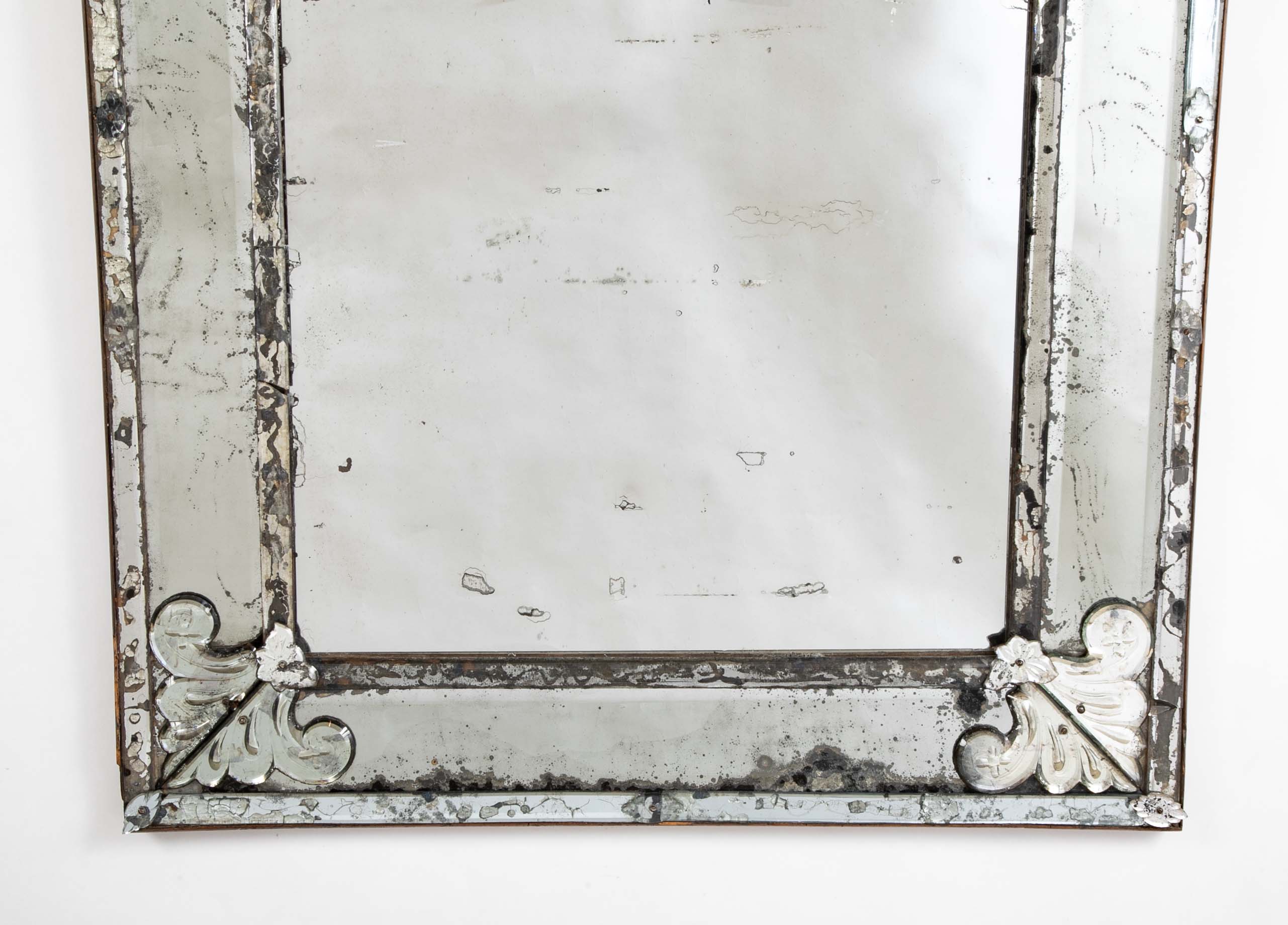 Mirror Bordered Glass Mirror with Fleur de Lis Decor