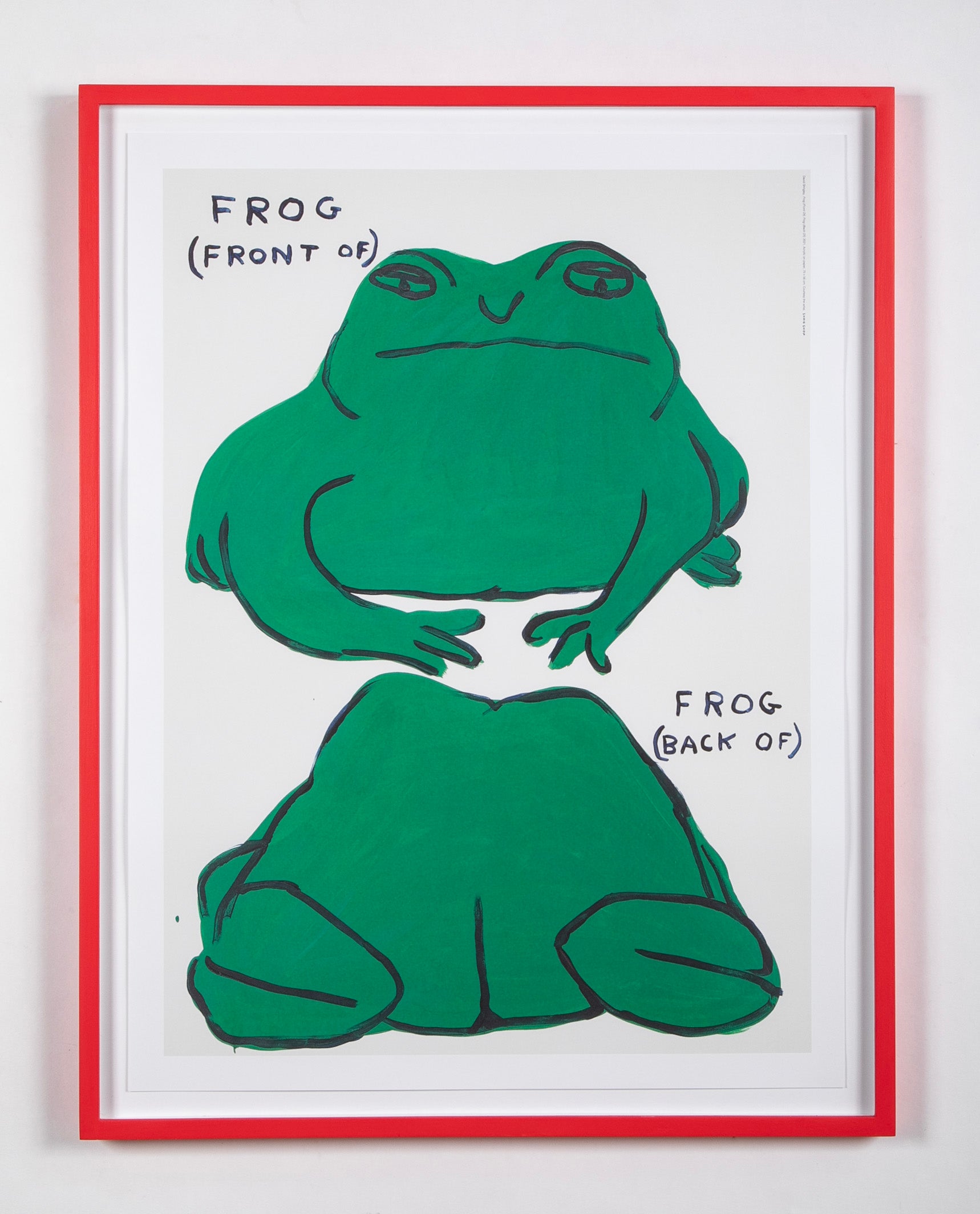 David Shrigley (b.1968) Print of "Frog (Front of) - Frog (Back of)"