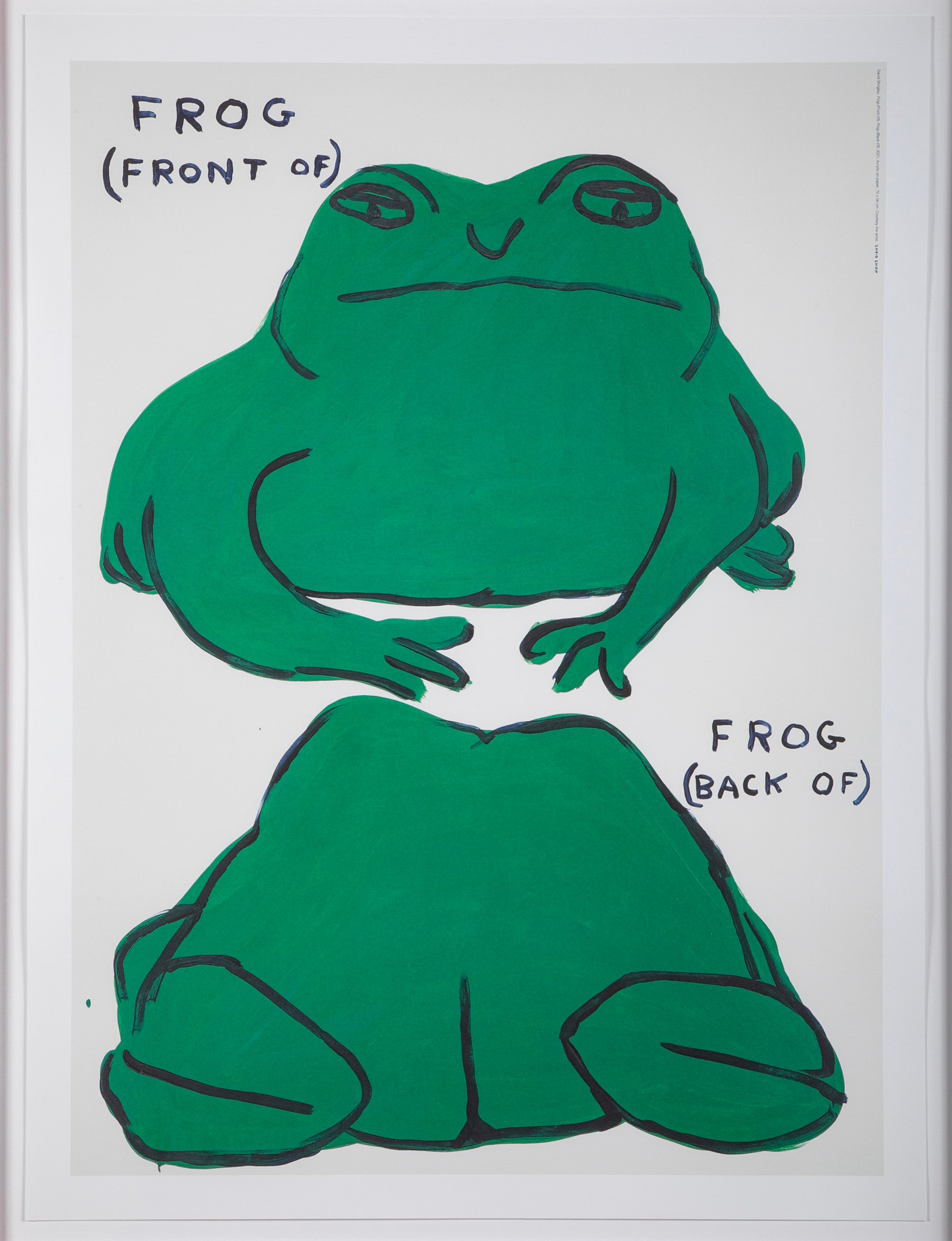 David Shrigley (b.1968) Print of "Frog (Front of) - Frog (Back of)"