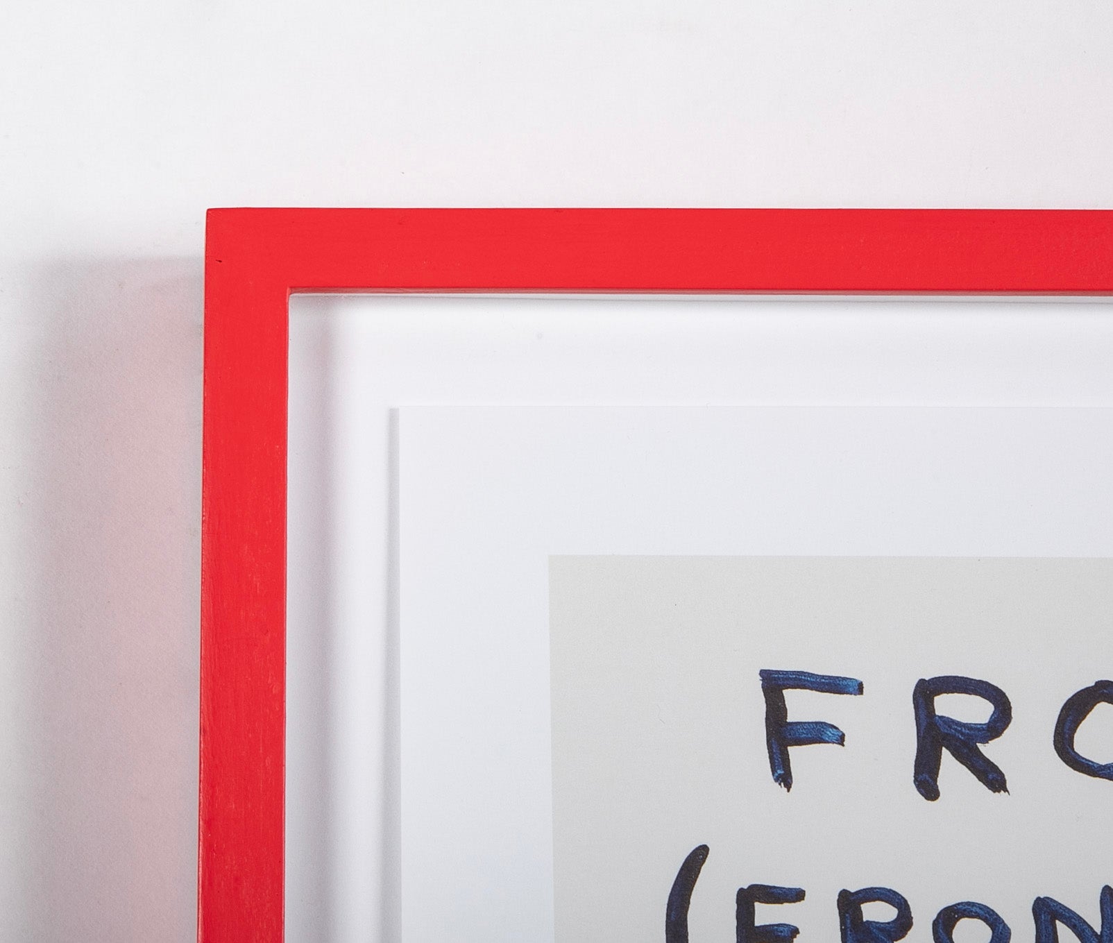 David Shrigley (b.1968) Print of "Frog (Front of) - Frog (Back of)"