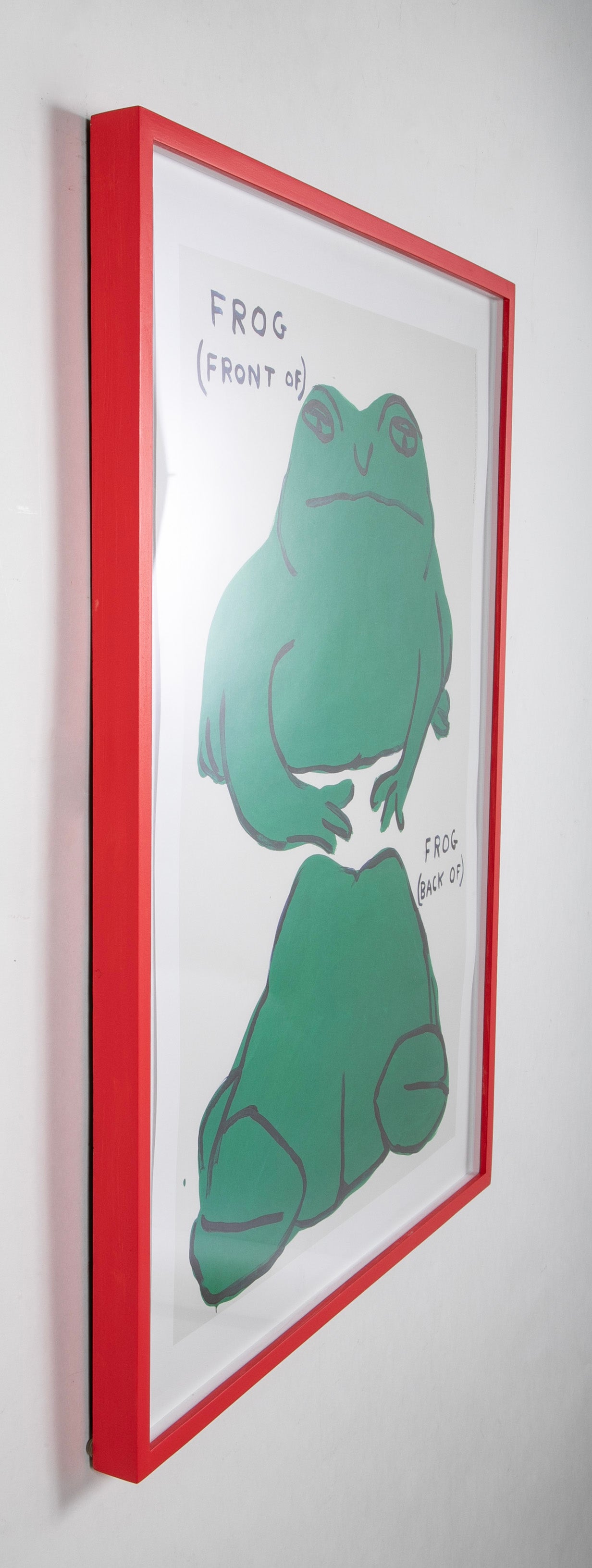 David Shrigley (b.1968) Print of "Frog (Front of) - Frog (Back of)"
