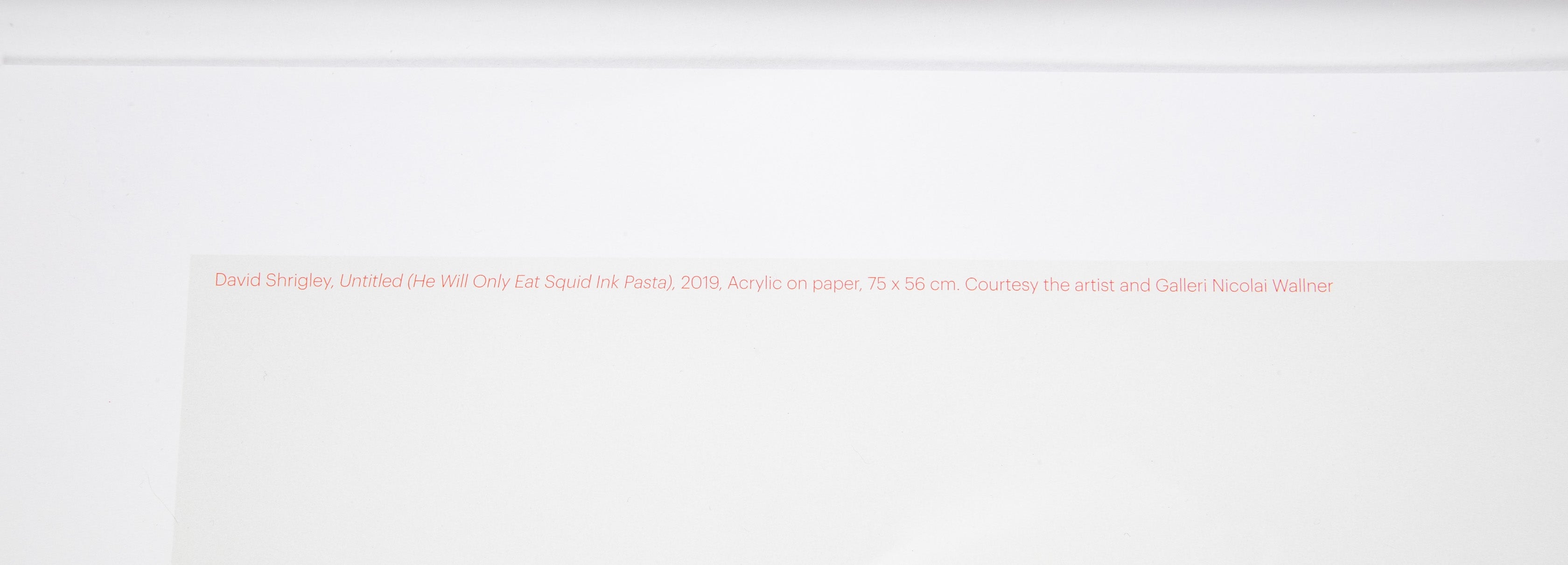 David Shrigley (b.1968) Print of Giraffe "He Will Only Eat Squid Ink Pasta"