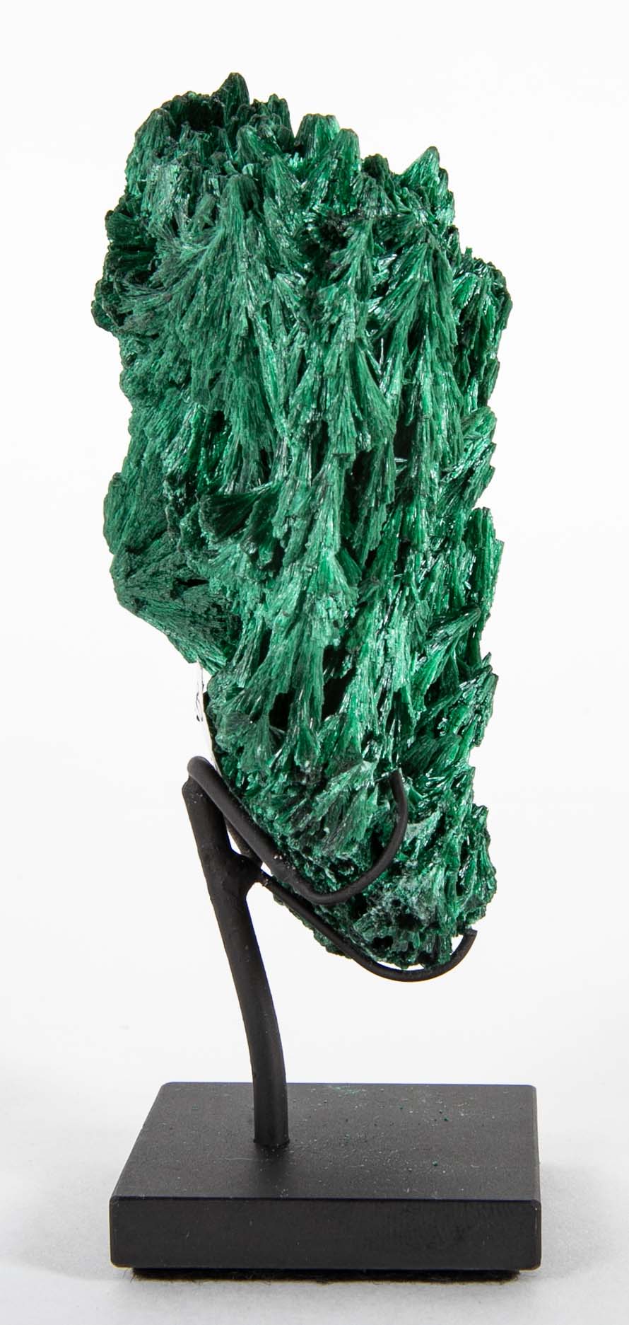 A Piece of Congolese Velvet Malachite on Modern Stand