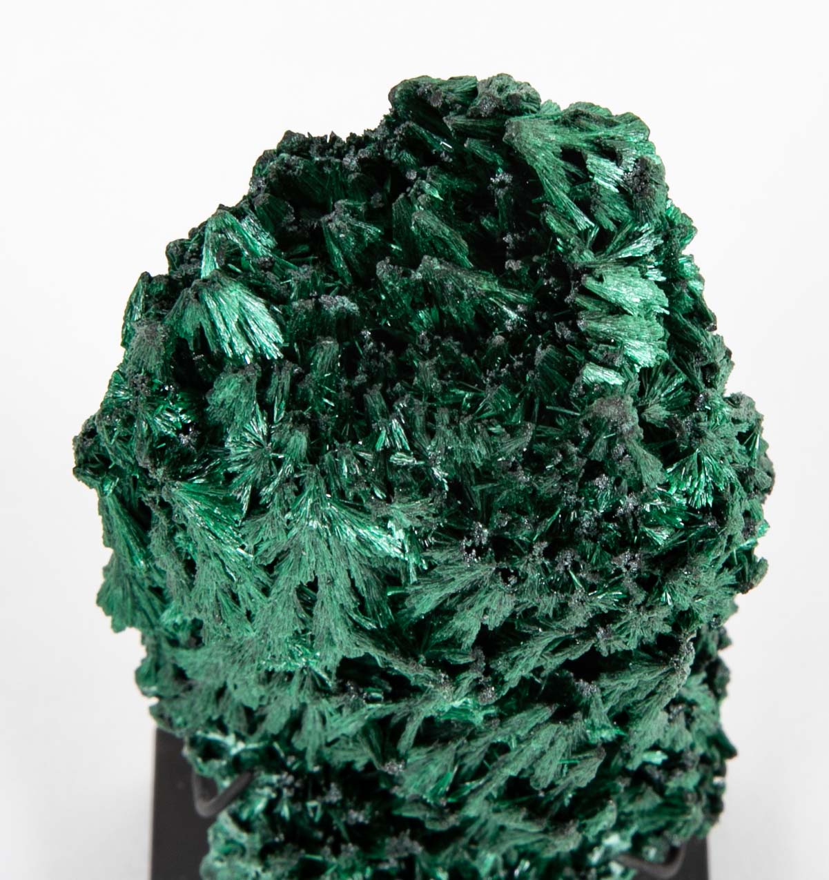 A Piece of Congolese Velvet Malachite on Modern Stand