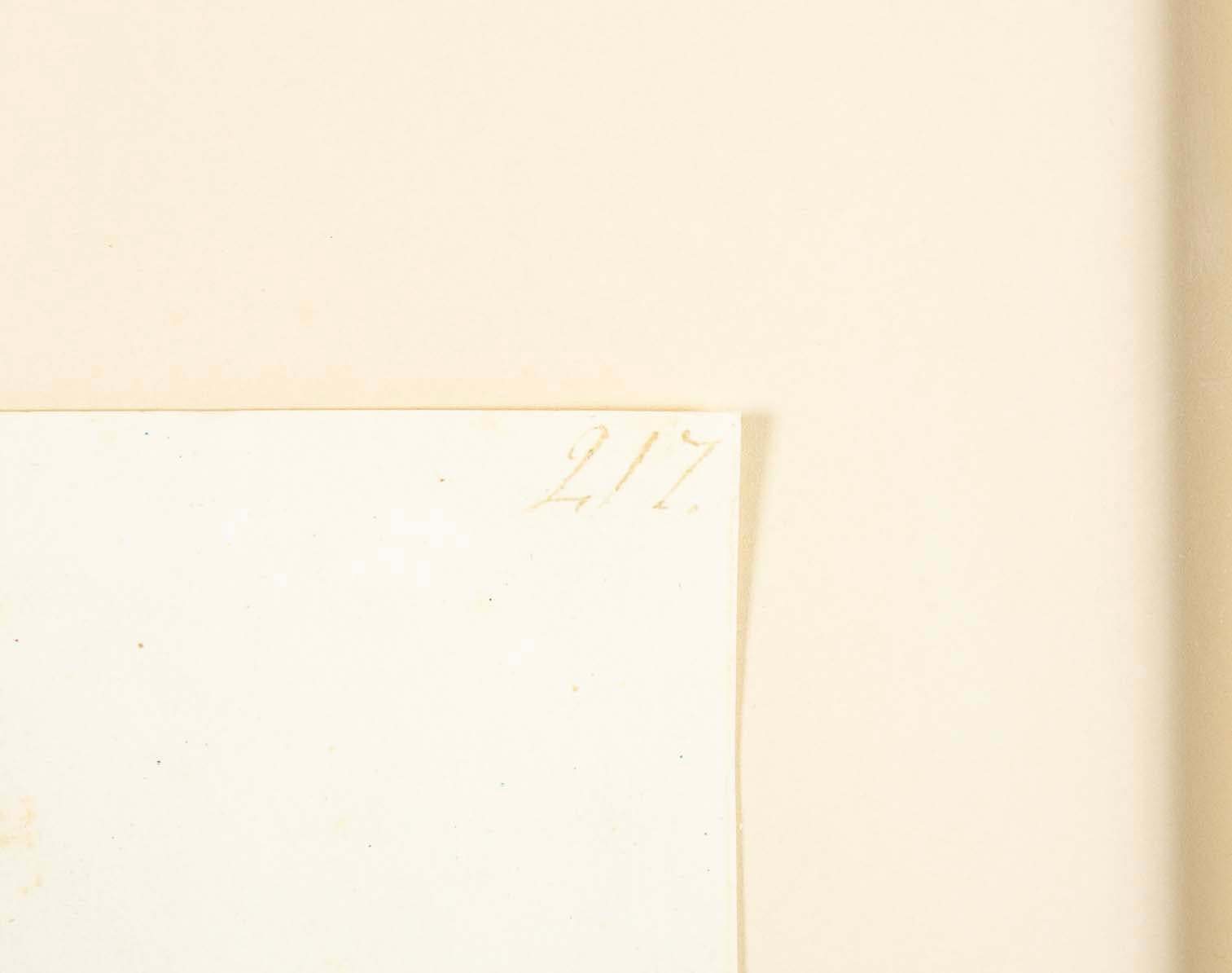 Offset Lithograph of "Great Crested Grebe" from the "The Great Bird Book" by Olof Rudbeck The Younger