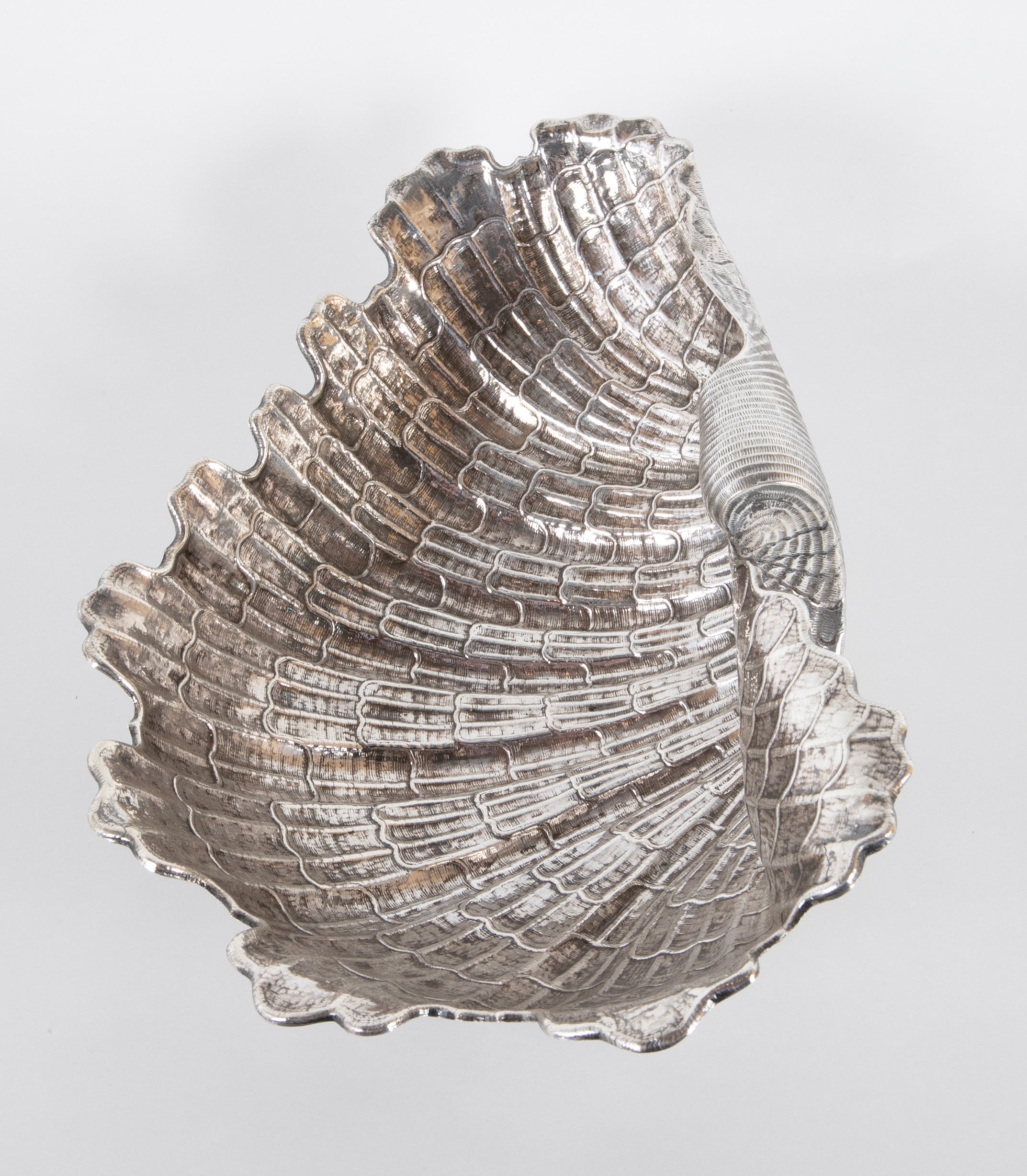 Lavish Silver Clam Shell Bowl by Luiz & David Ferreira