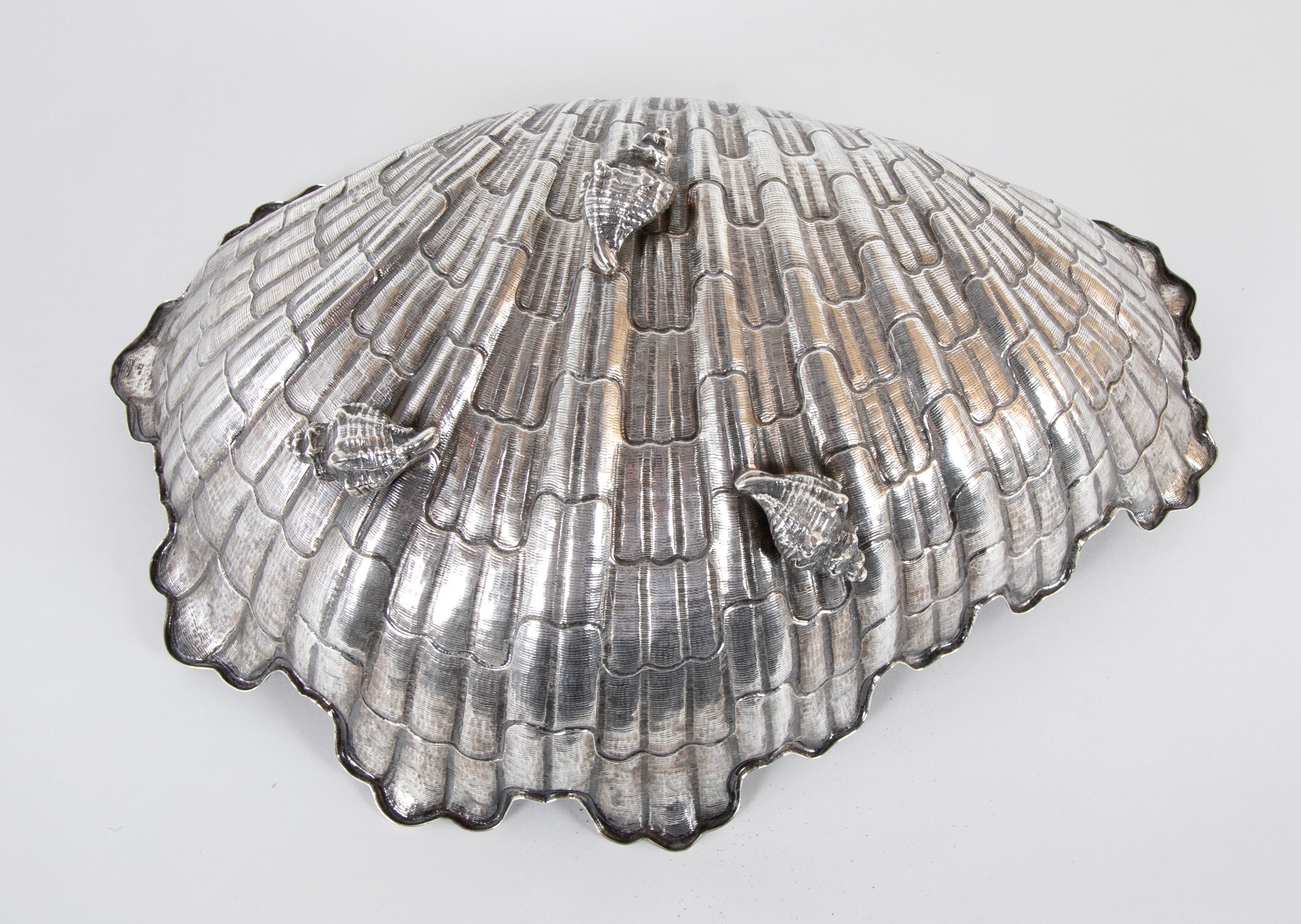 Lavish Silver Clam Shell Bowl by Luiz & David Ferreira