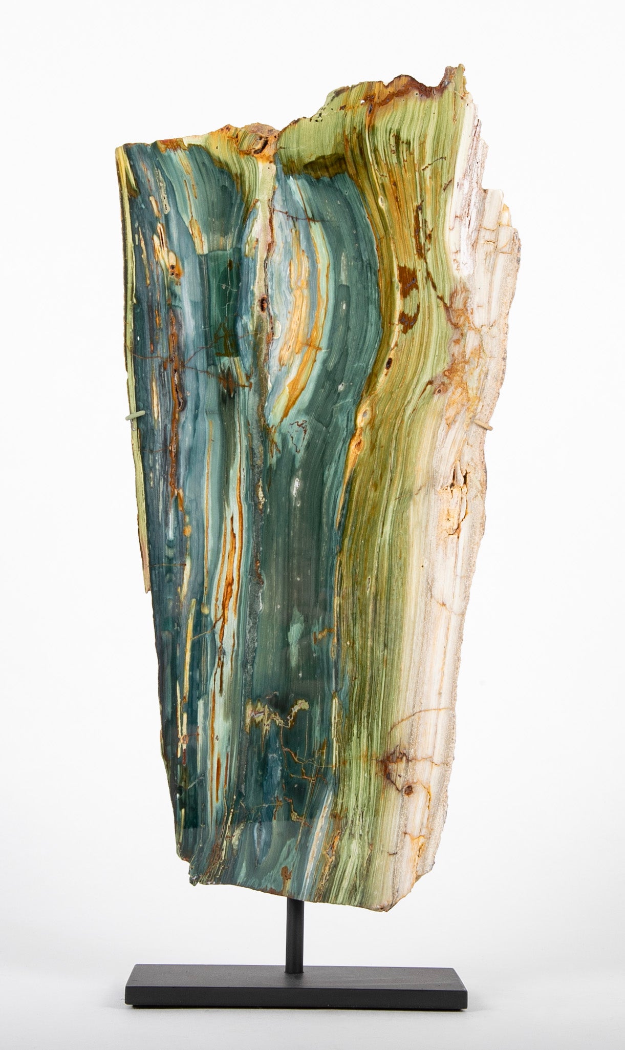 A Jasper Slab Fossil now on Custom Stand
