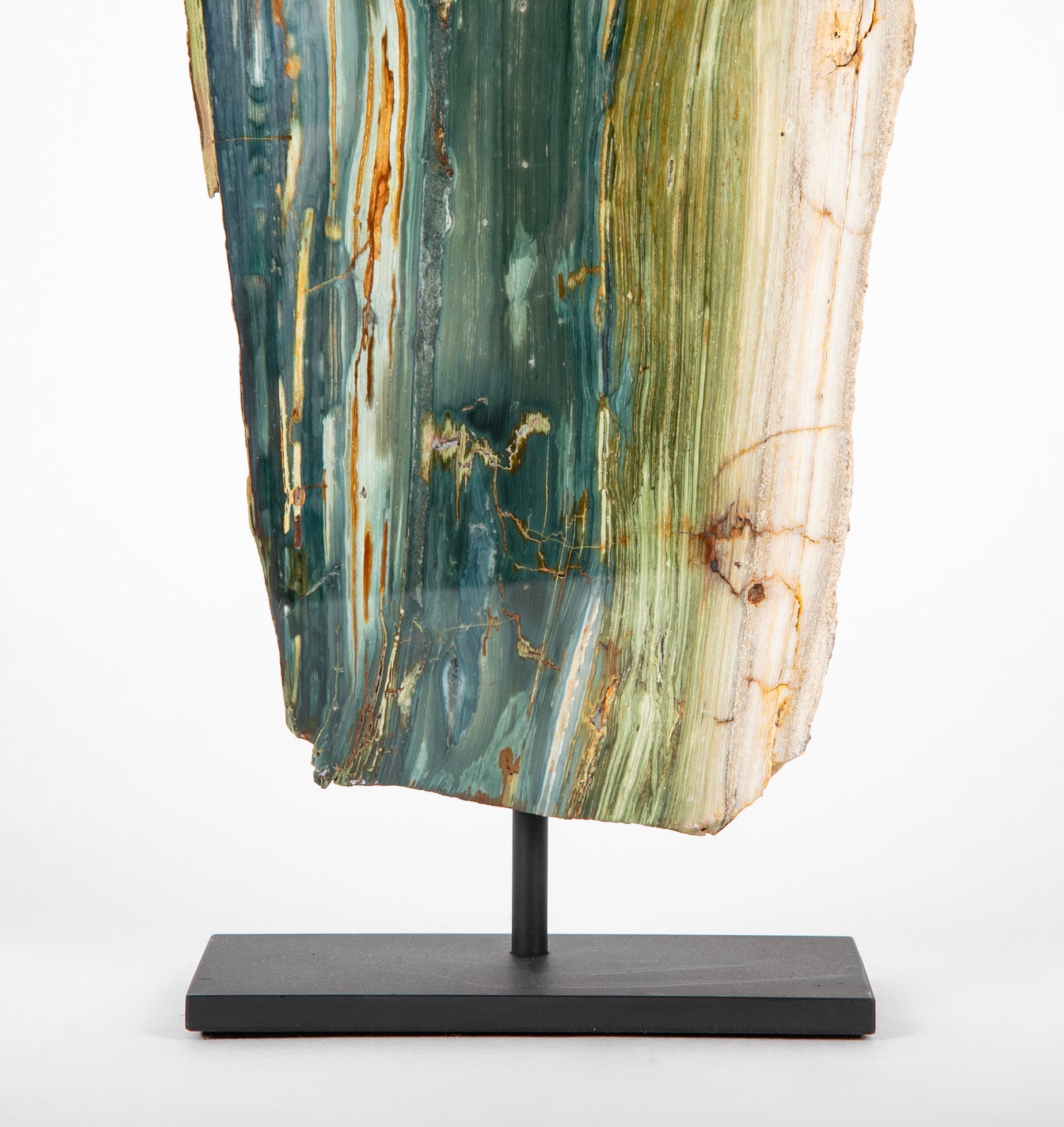 A Jasper Slab Fossil now on Custom Stand