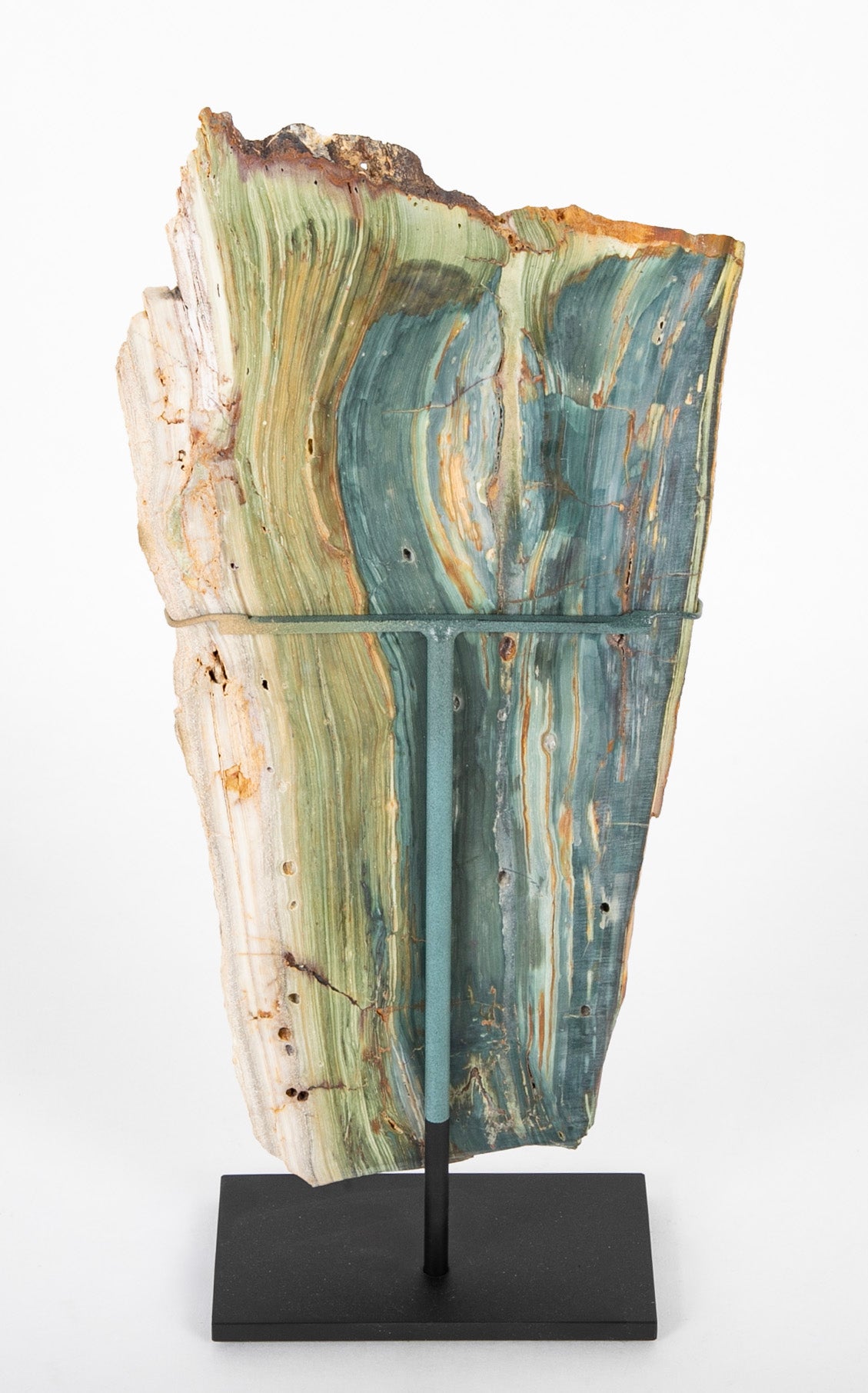 A Jasper Slab Fossil now on Custom Stand