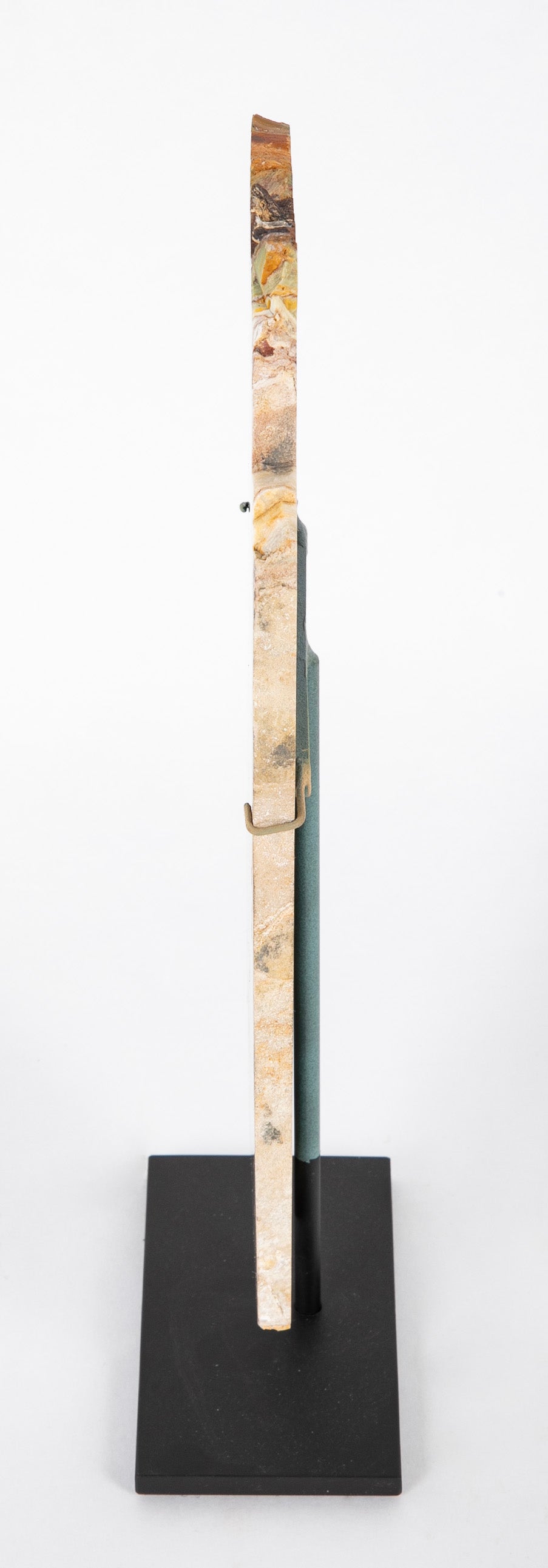 A Jasper Slab Fossil now on Custom Stand