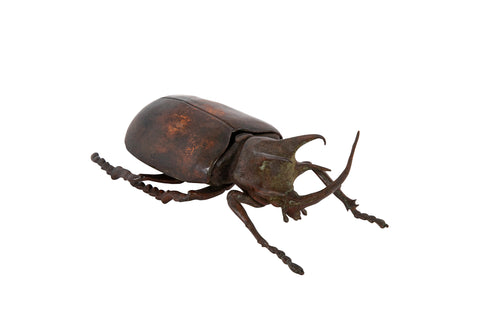 A Japanese Patinated Bronze Rhinoceros Beetle with Opening Back