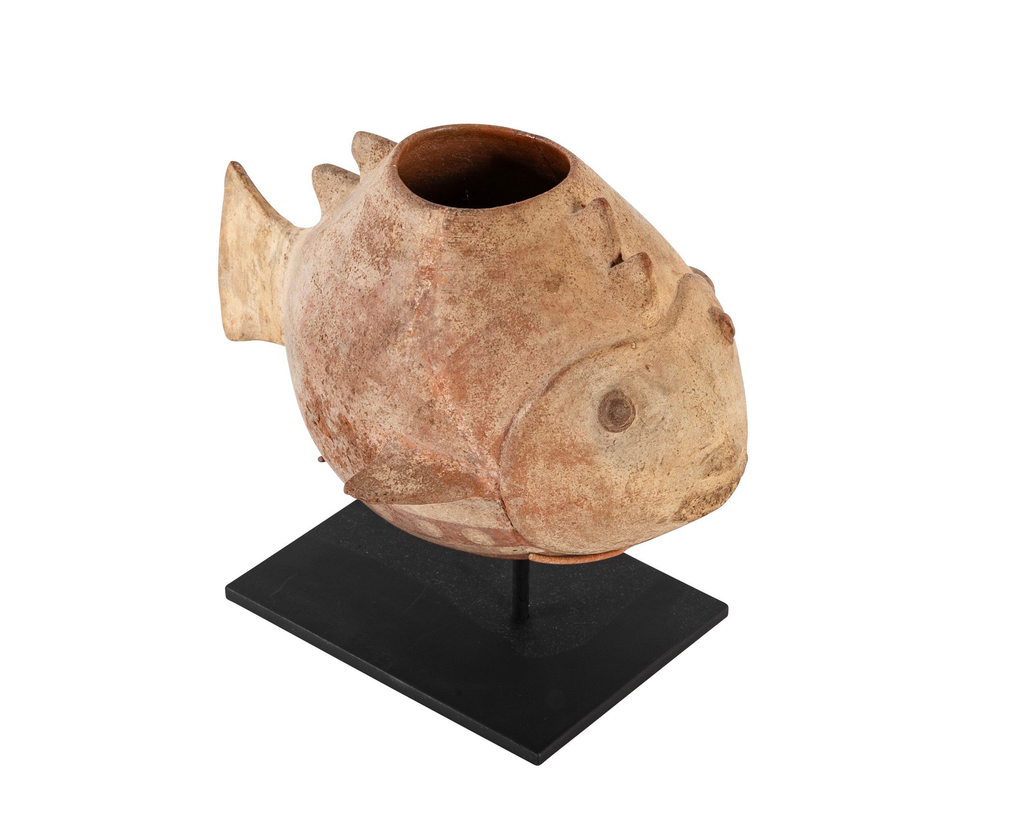 A Colima Shark Effigy Vessel